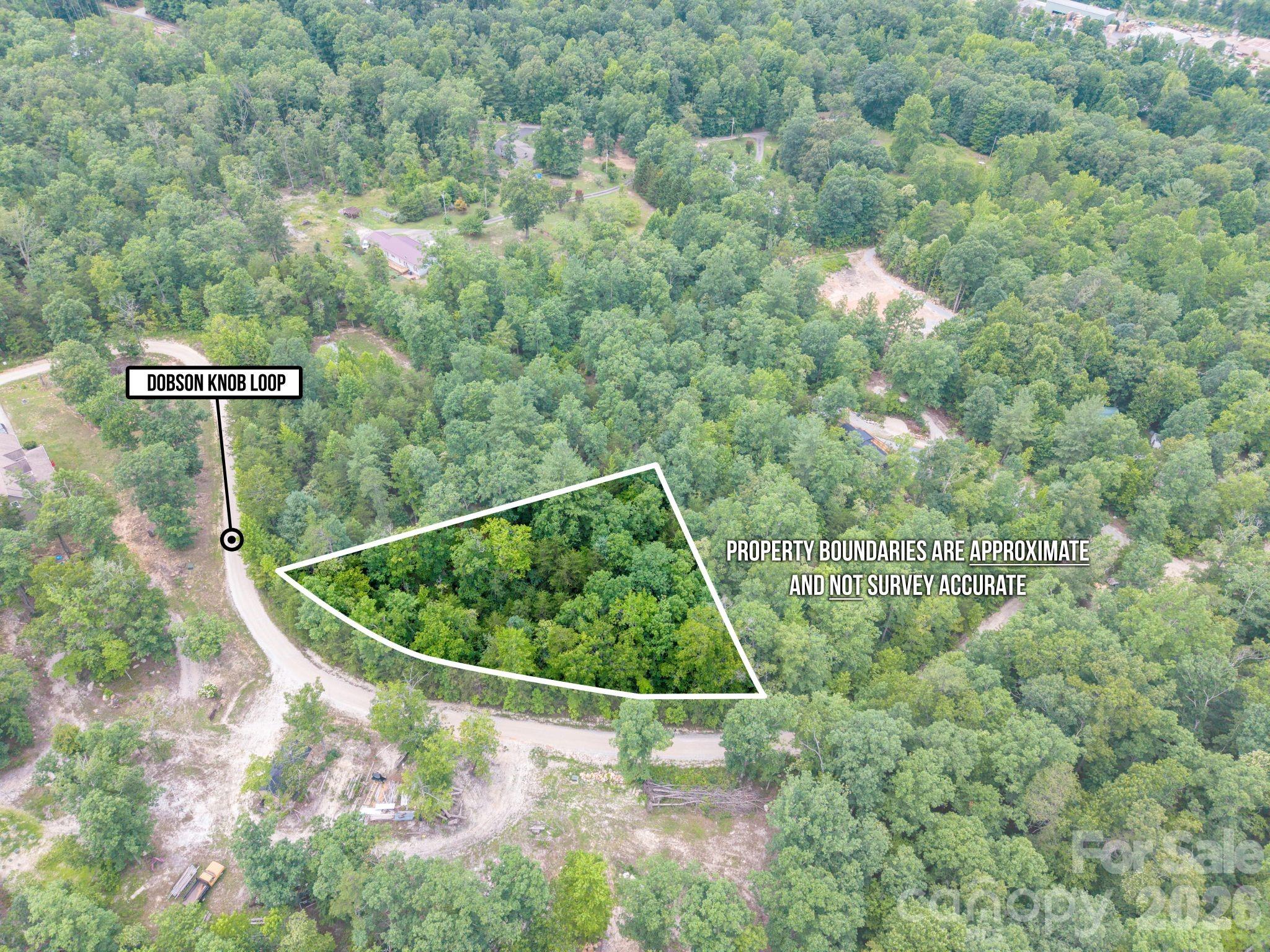 6 Dobsons Knob Loop Property Photo 14