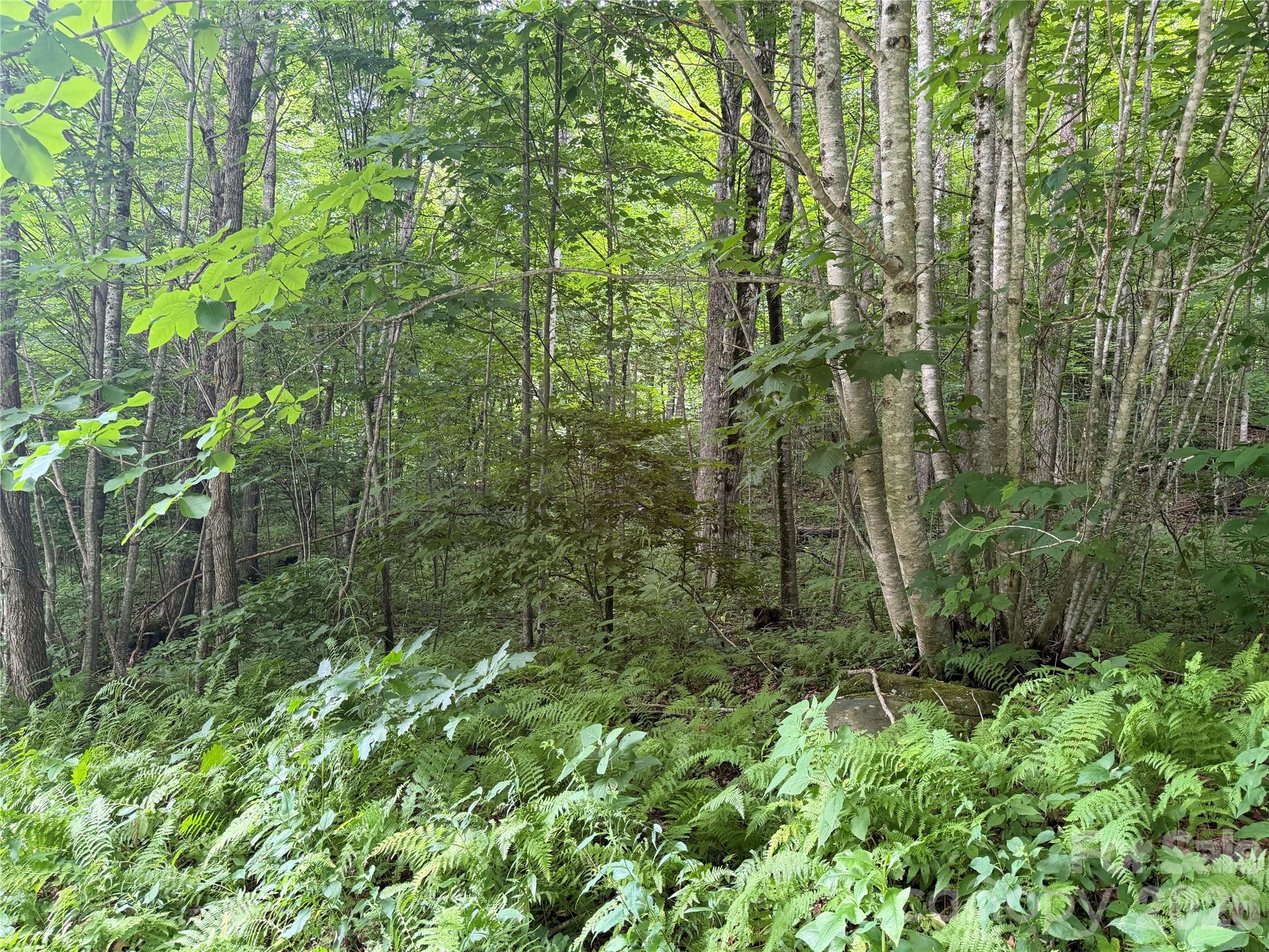 64a Jonathan Trail Property Photo 4