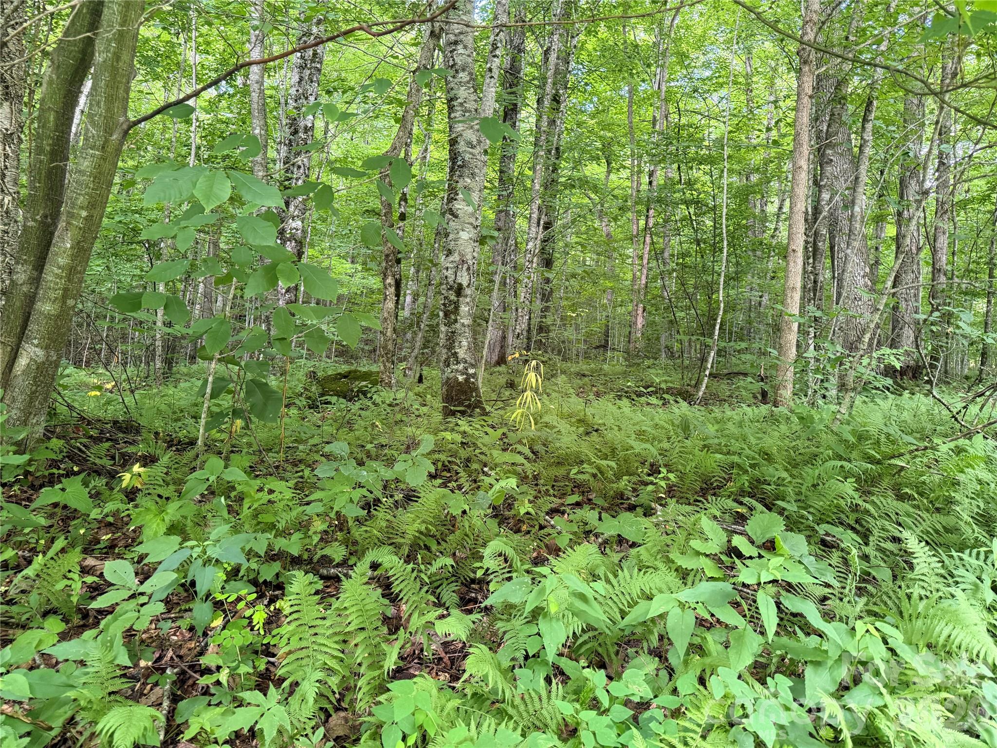 64a Jonathan Trail Property Photo 5