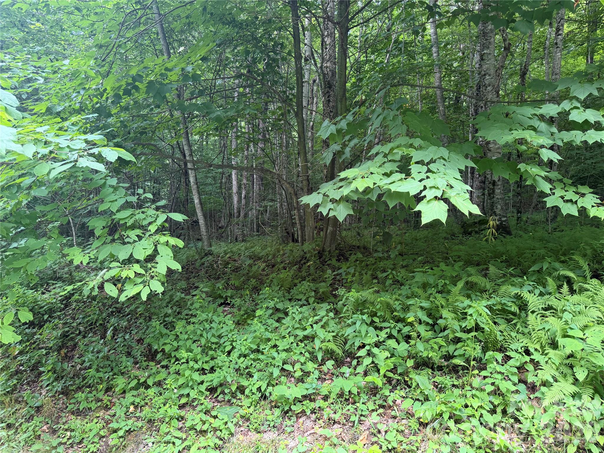 64a Jonathan Trail Property Photo 6