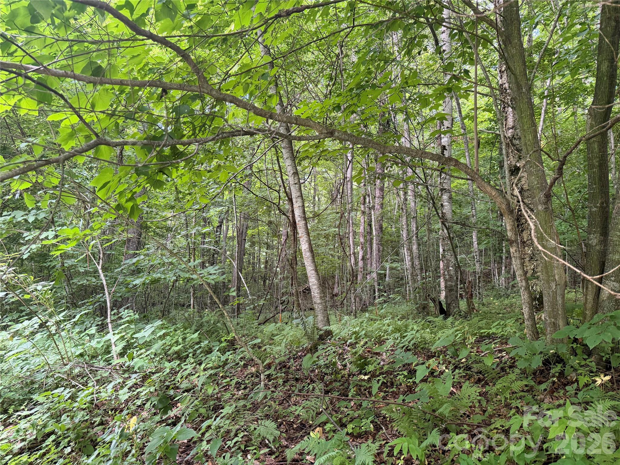 64a Jonathan Trail Property Photo 7