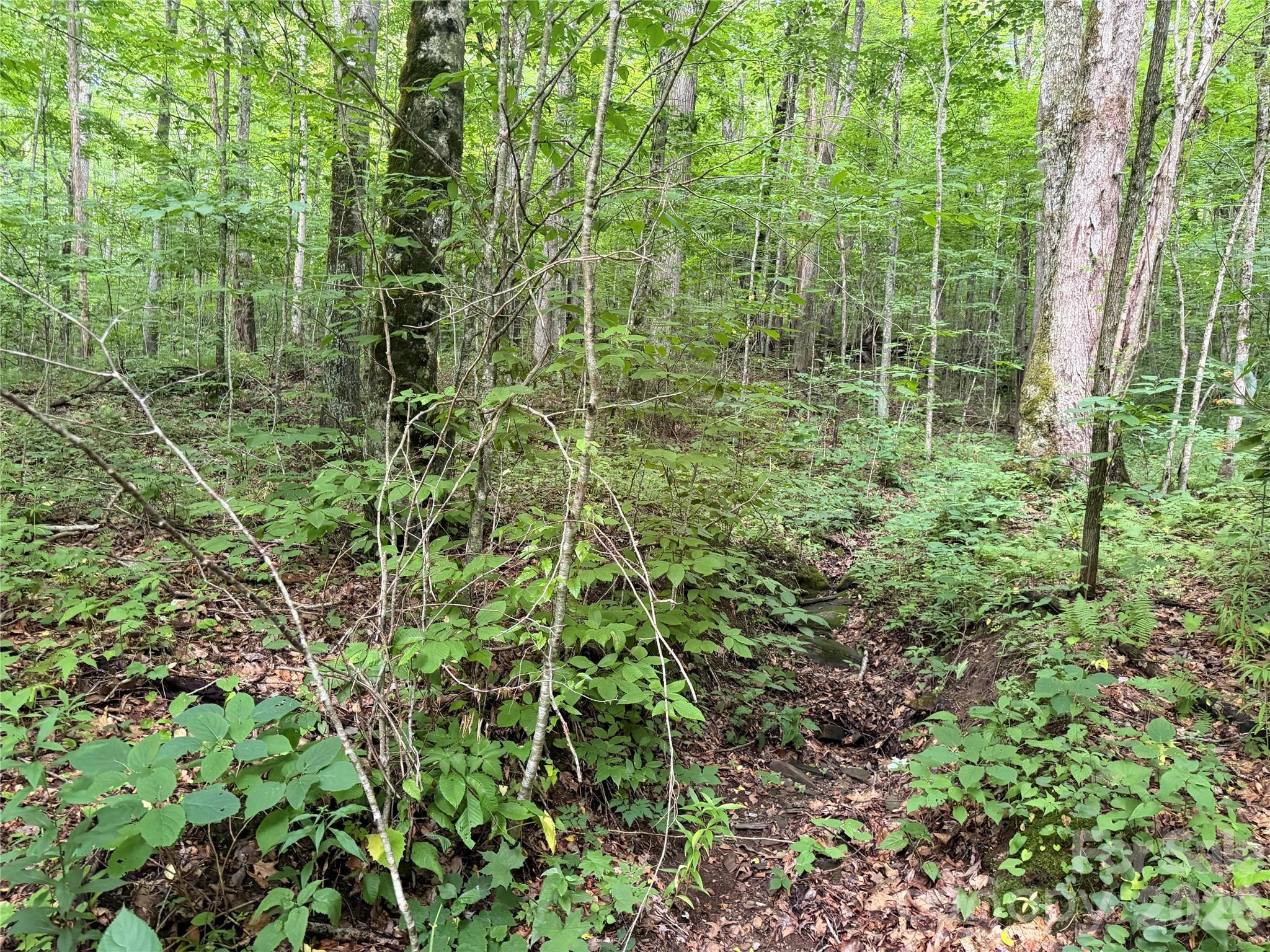 64a Jonathan Trail Property Photo 8