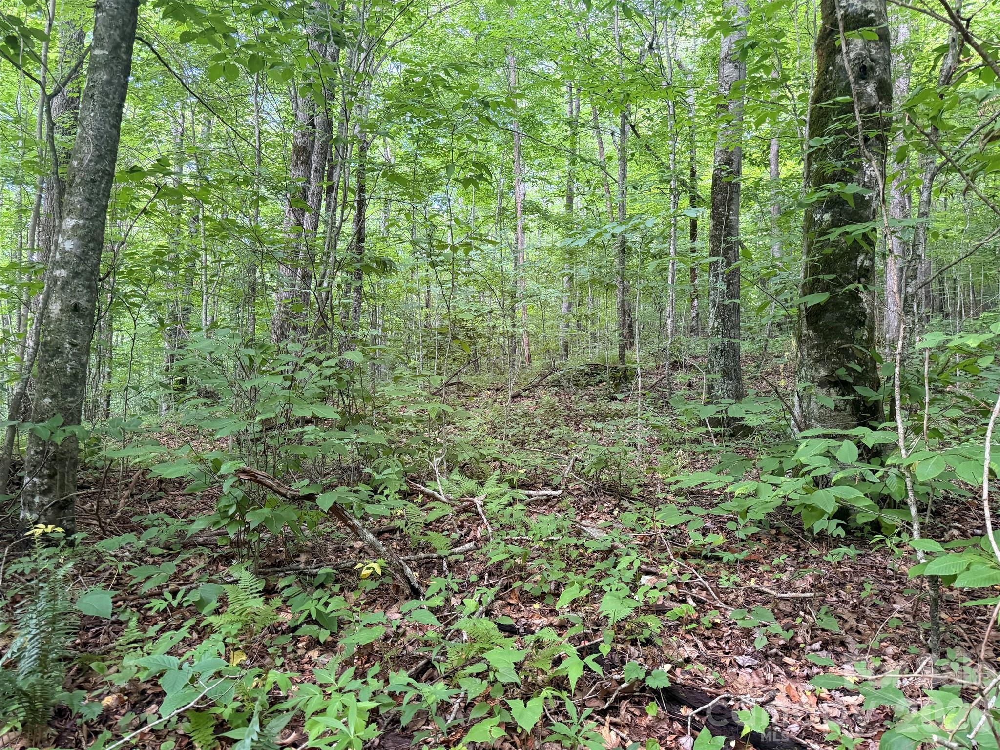 64a Jonathan Trail Property Photo 15