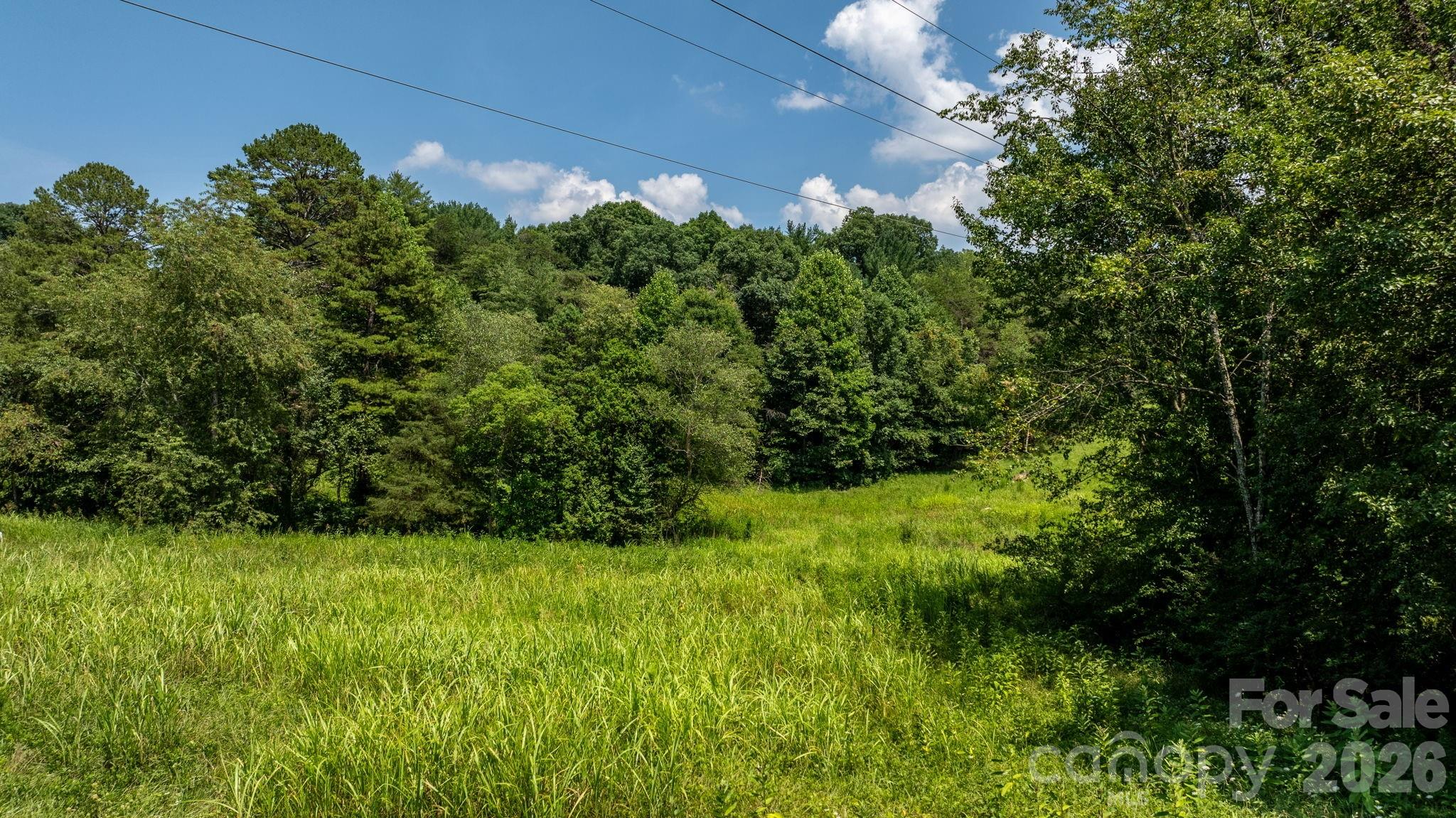 0 Monroe Road Property Photo 3