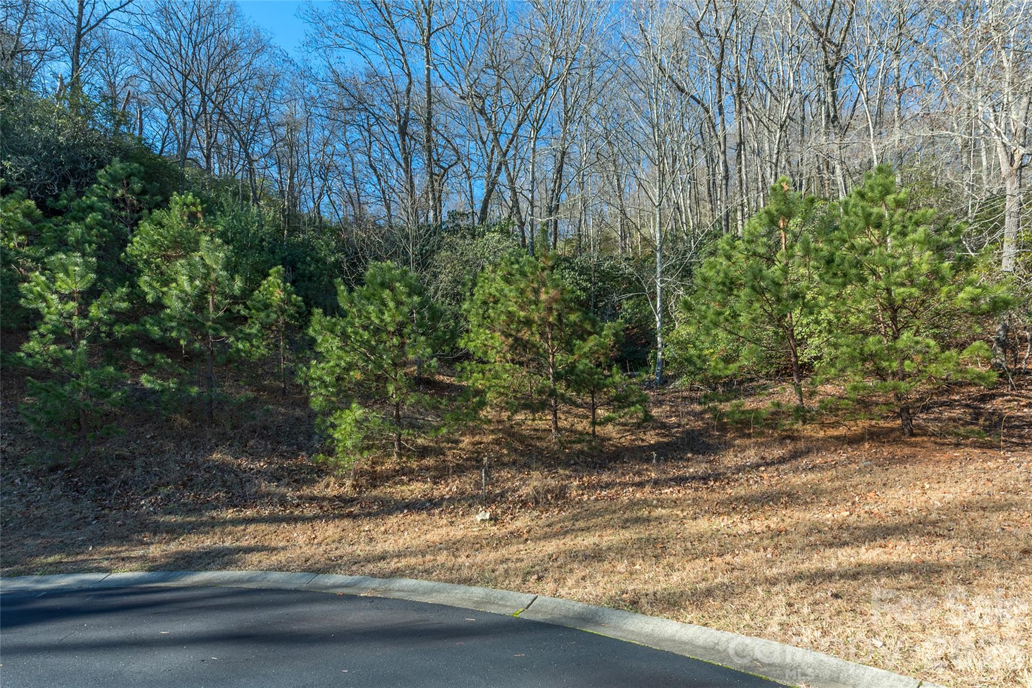 9999 Mayfly Lane 106 Property Photo 3
