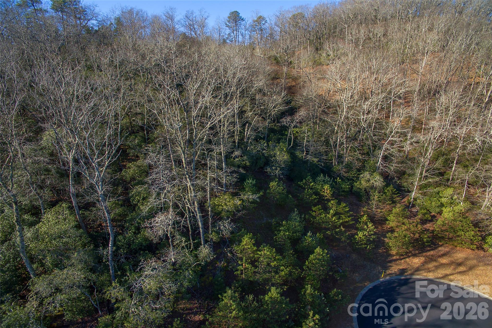 9999 Mayfly Lane 106 Property Photo 11