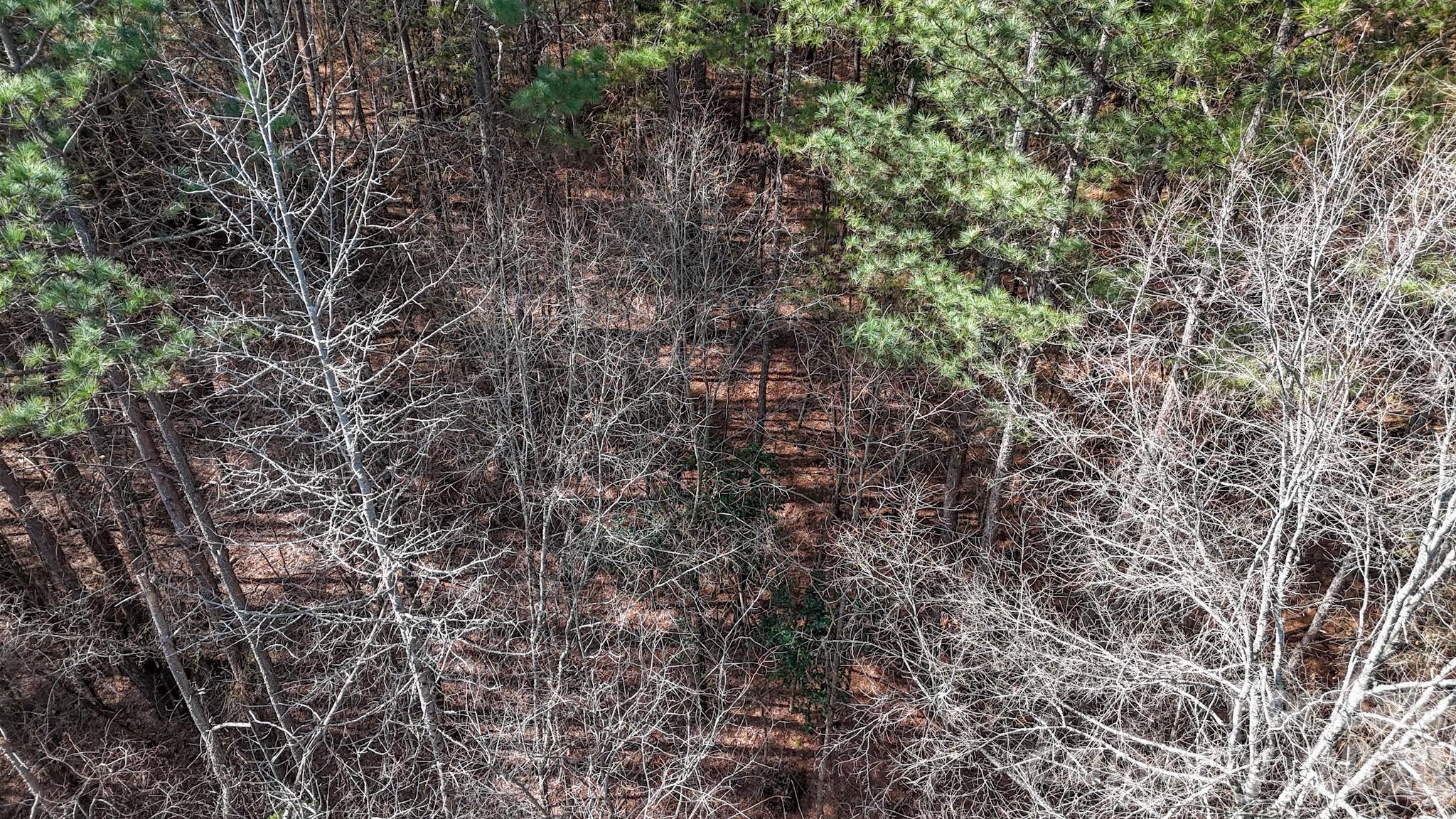 00 Sapp Road Property Photo 12