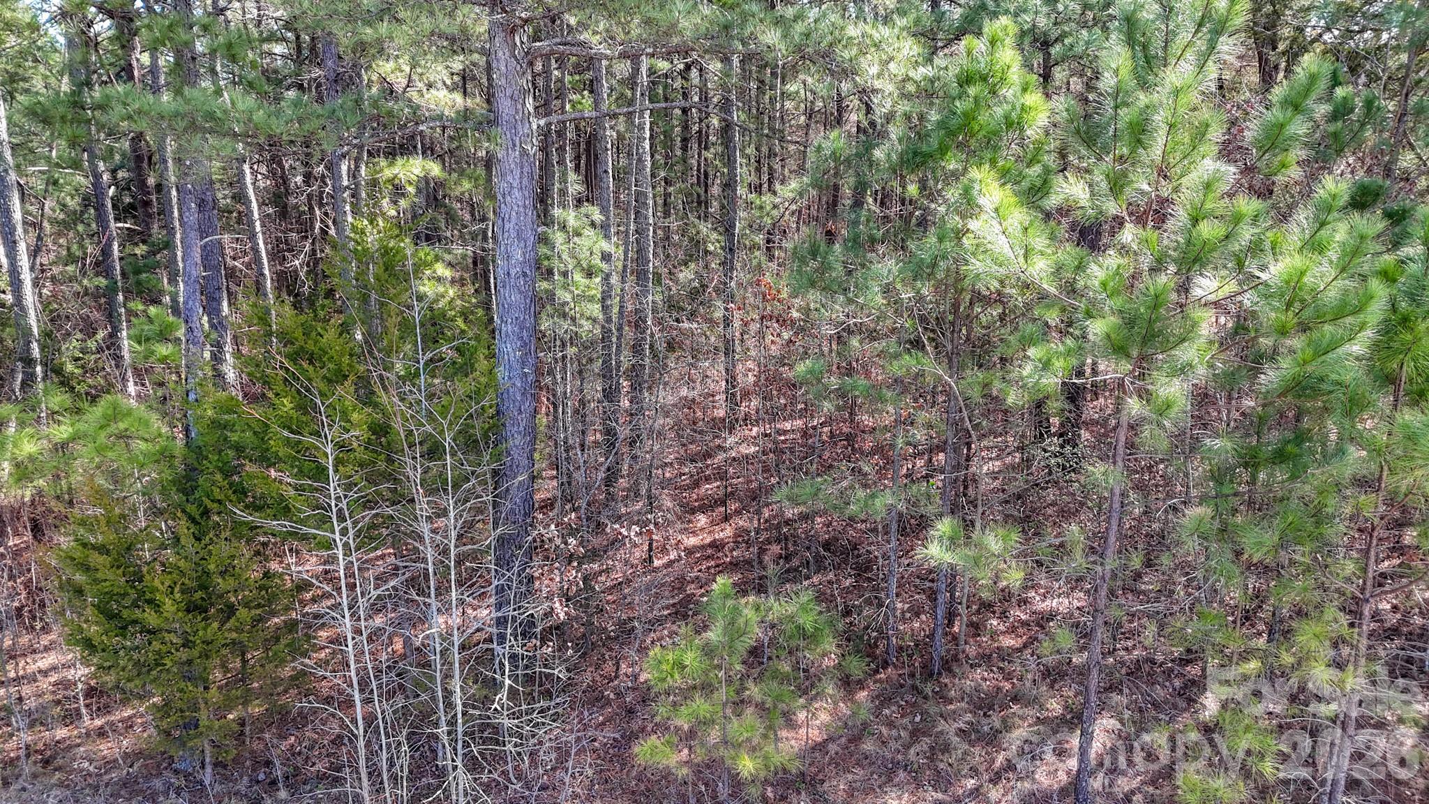 00 Sapp Road Property Photo 13