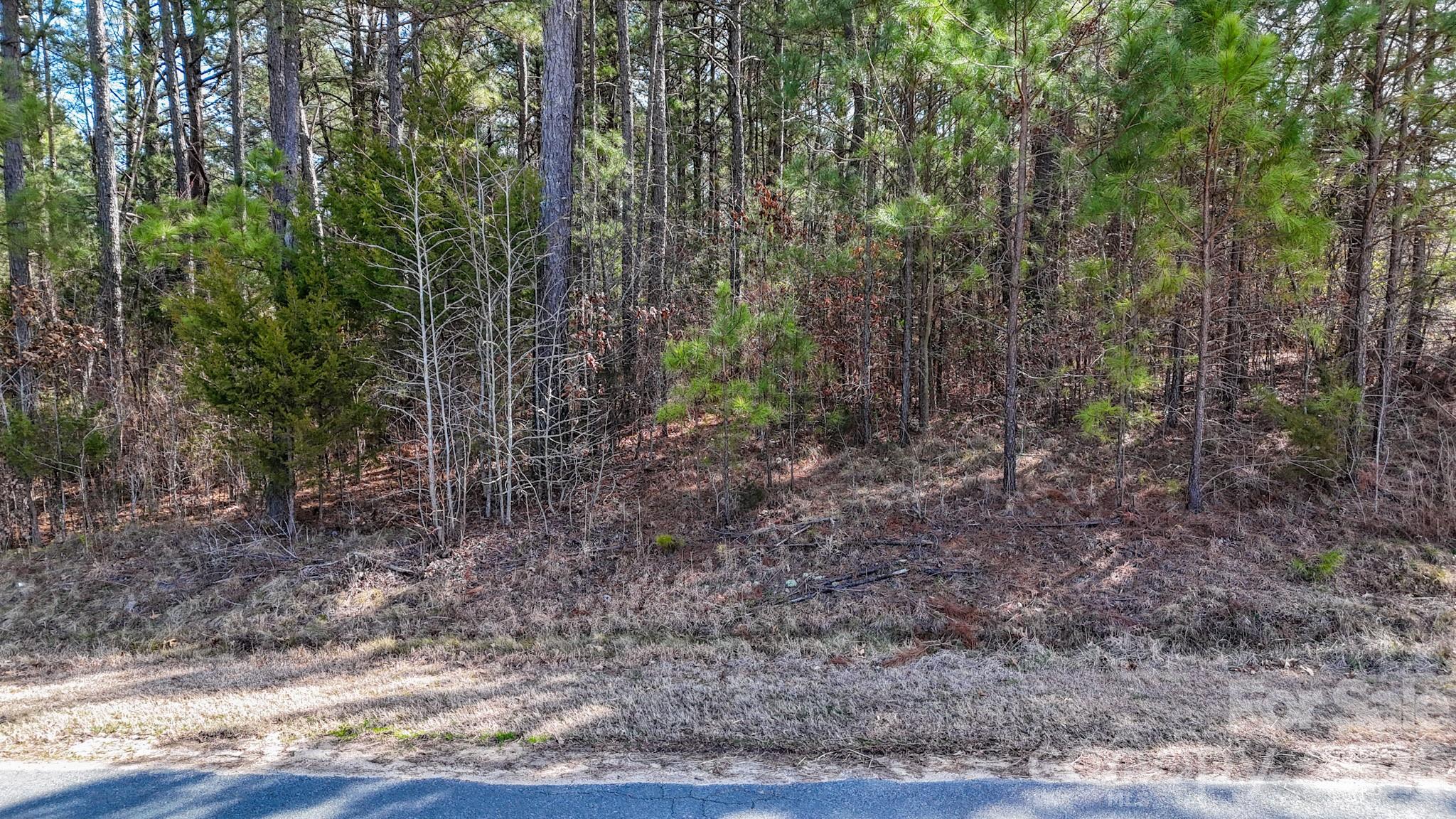 00 Sapp Road Property Photo 14