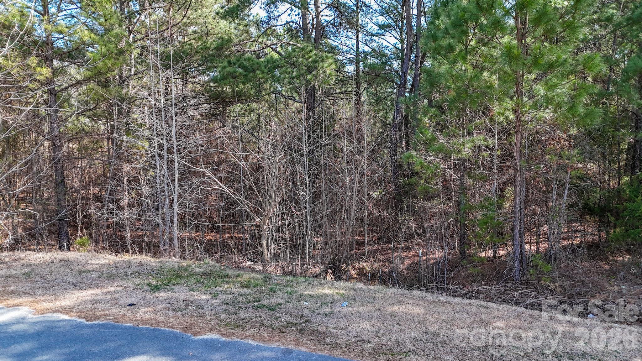00 Sapp Road Property Photo 15