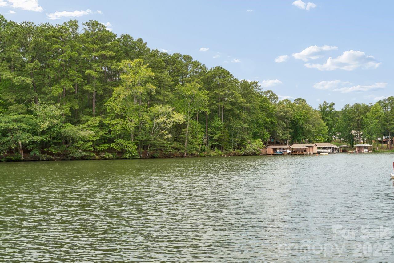 9781 Pine Tree Road Property Photo 24
