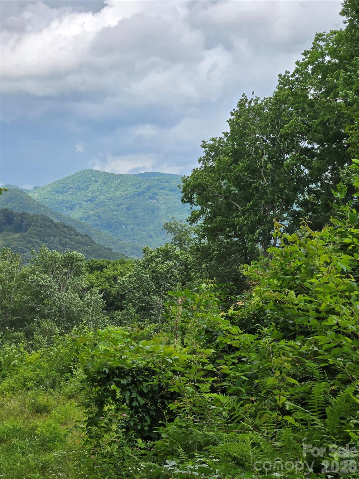 52 Lantern Ridge Property Photo 9