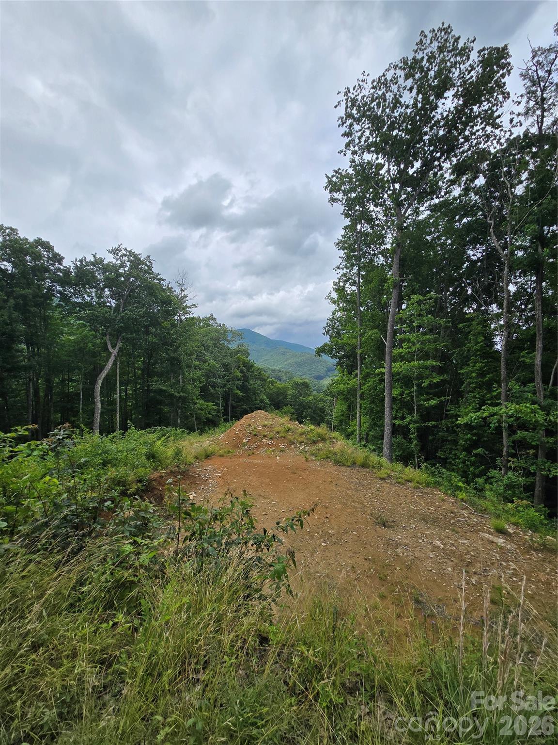 52 Lantern Ridge Property Photo 14