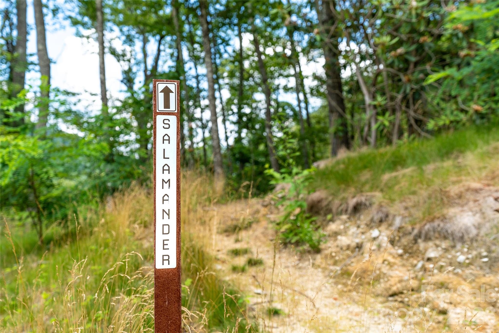 99999 E Garden Trail 46 Property Photo 20