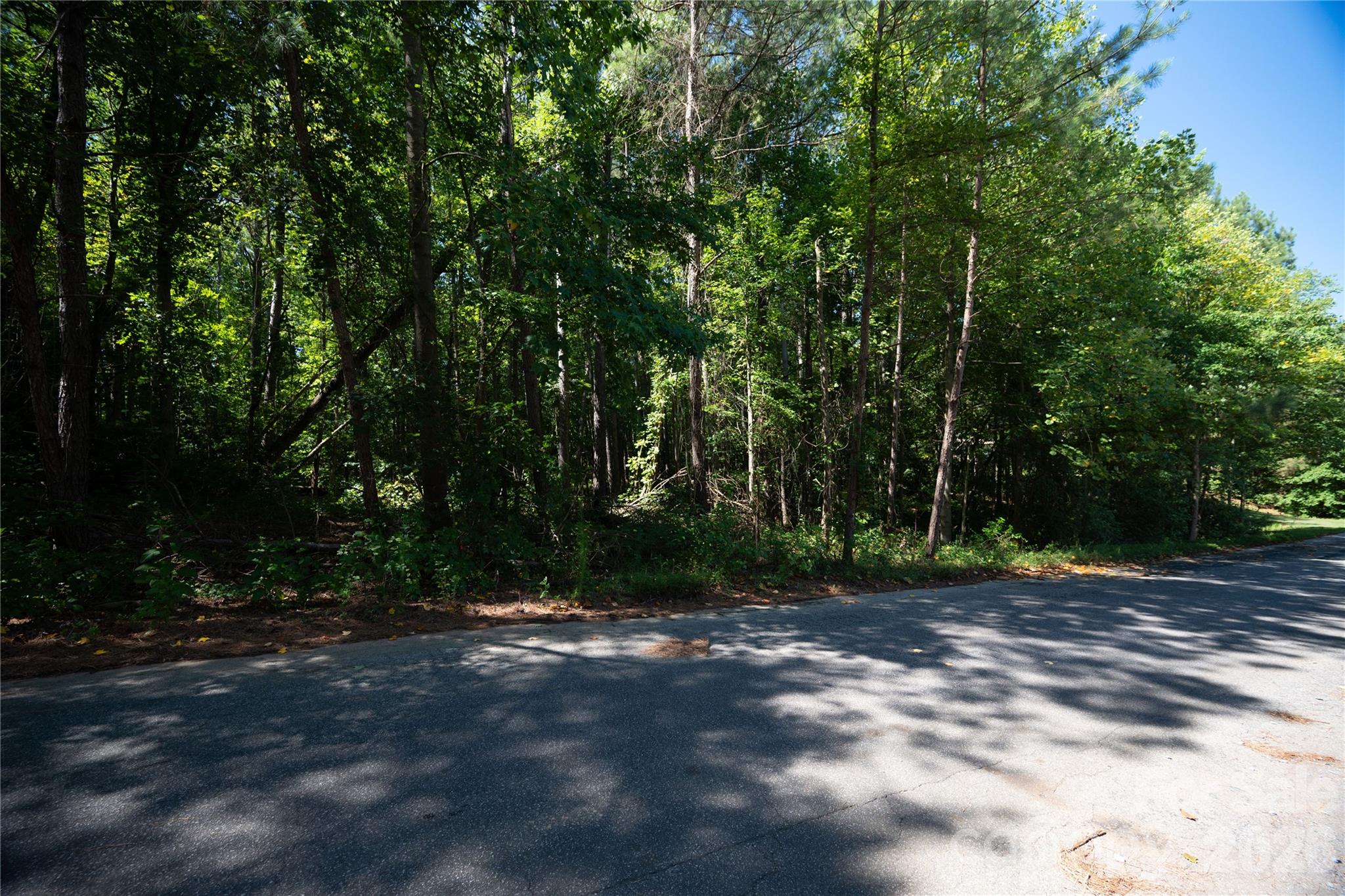 00 Knottywood Lane 26