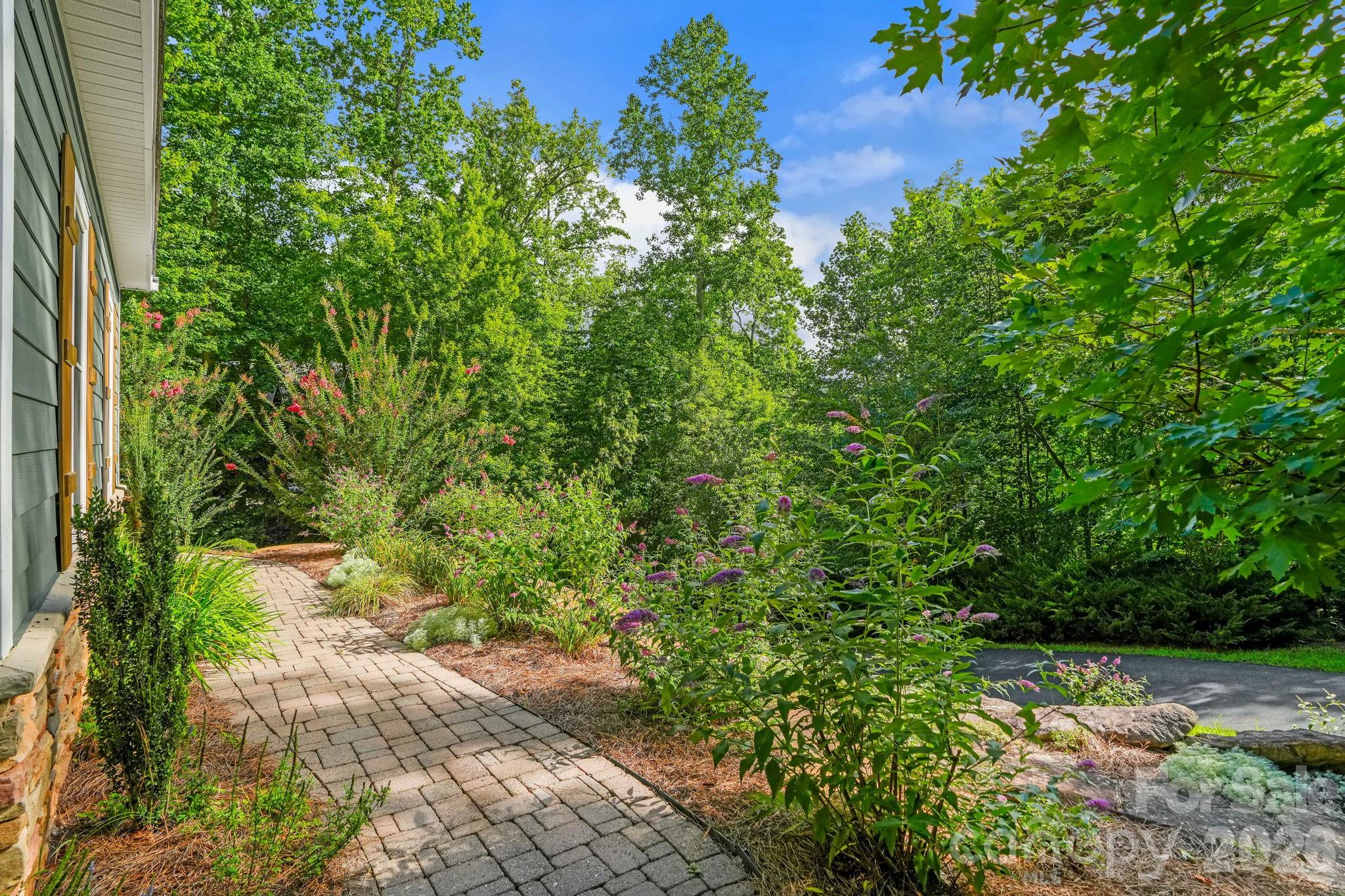 455 Blue Mist Way Property Photo 3