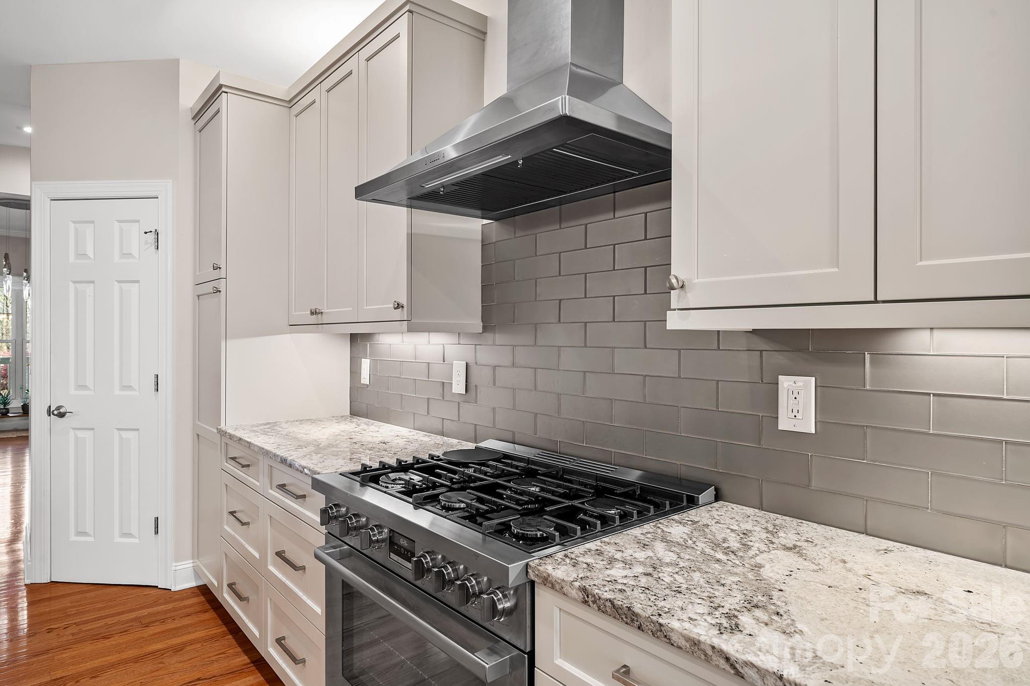 455 Blue Mist Way Property Photo 7
