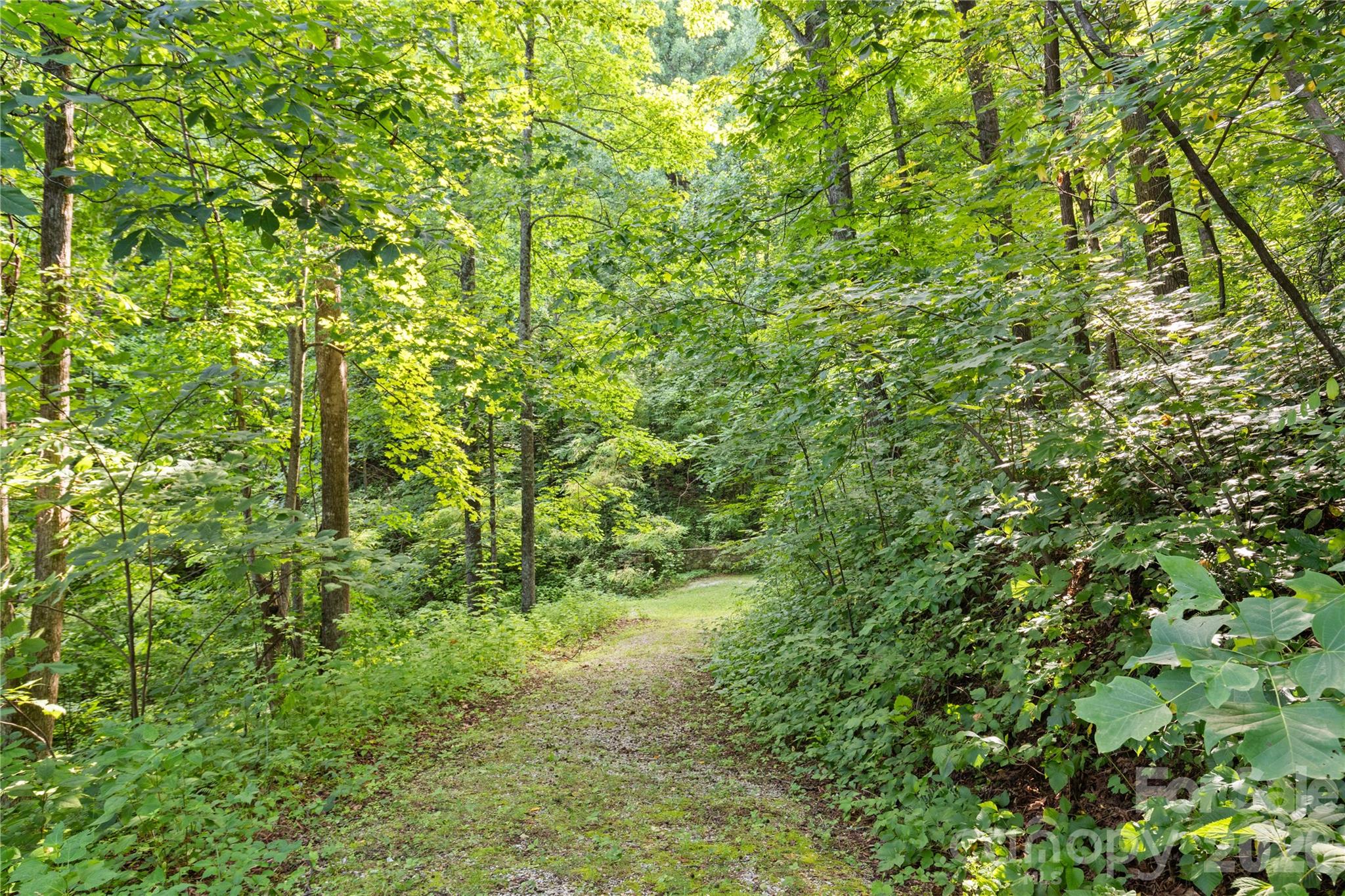 1915 Creston Drive Property Photo 16