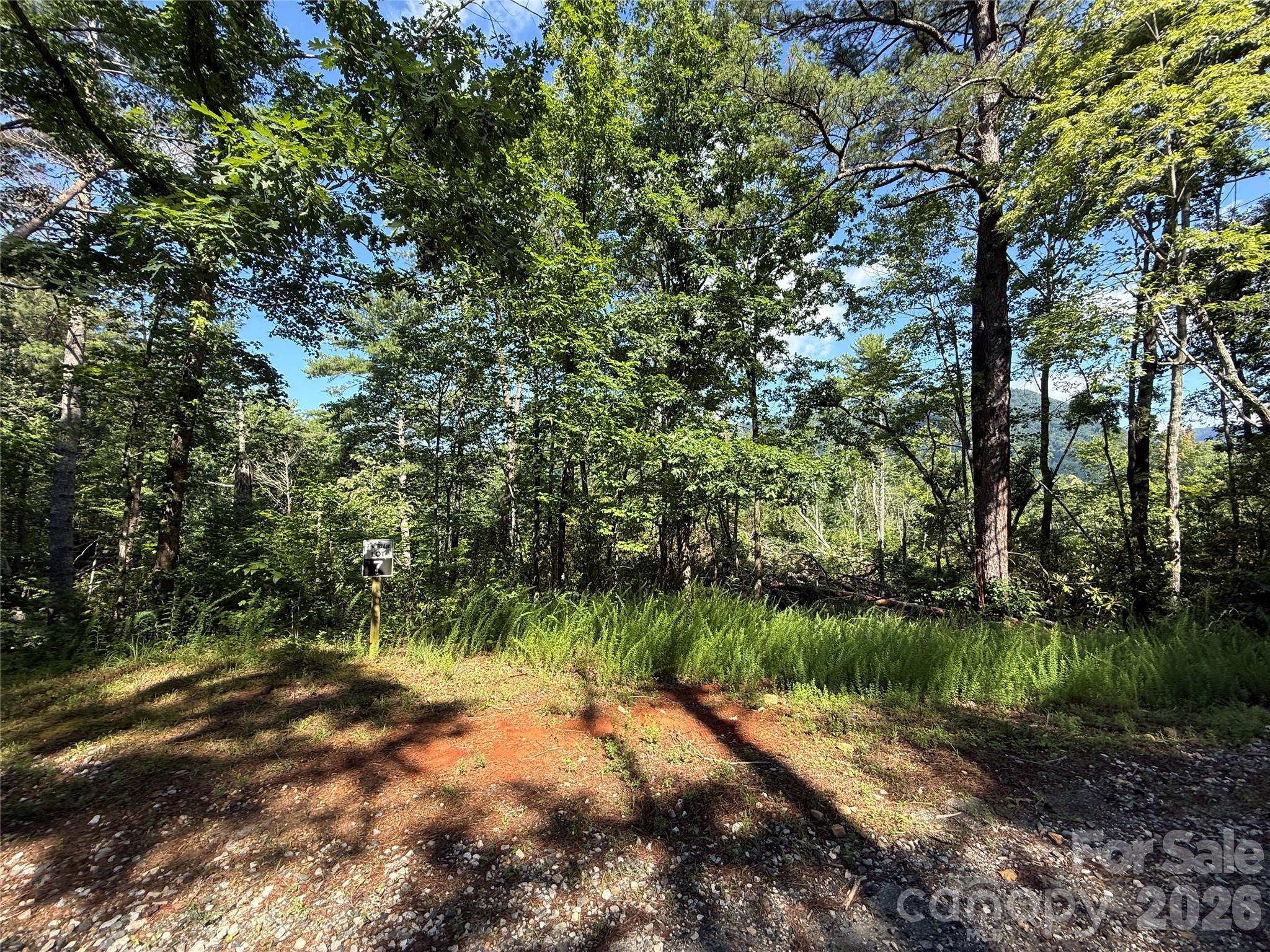 999 Fox Ridge Trail 7 Property Photo 1