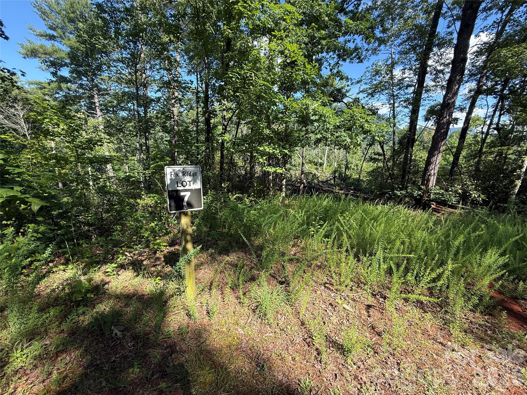 999 Fox Ridge Trail 7 Property Photo 2