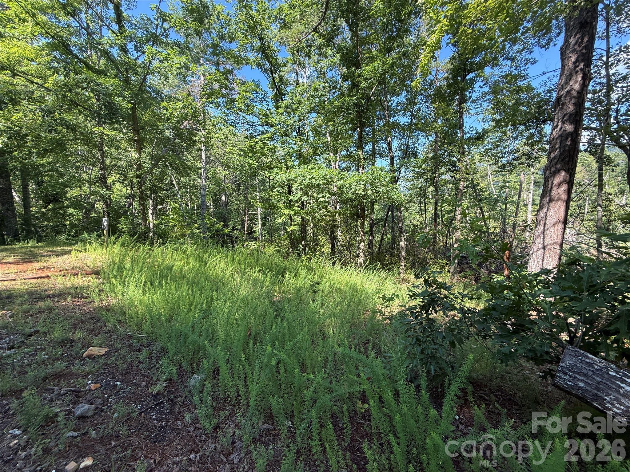 999 Fox Ridge Trail 7 Property Photo 3