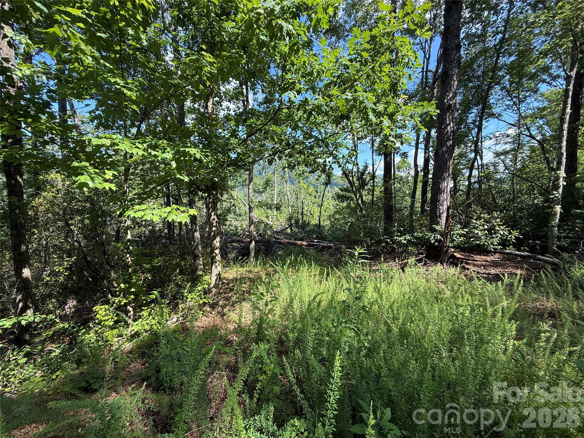 999 Fox Ridge Trail 7 Property Photo 4