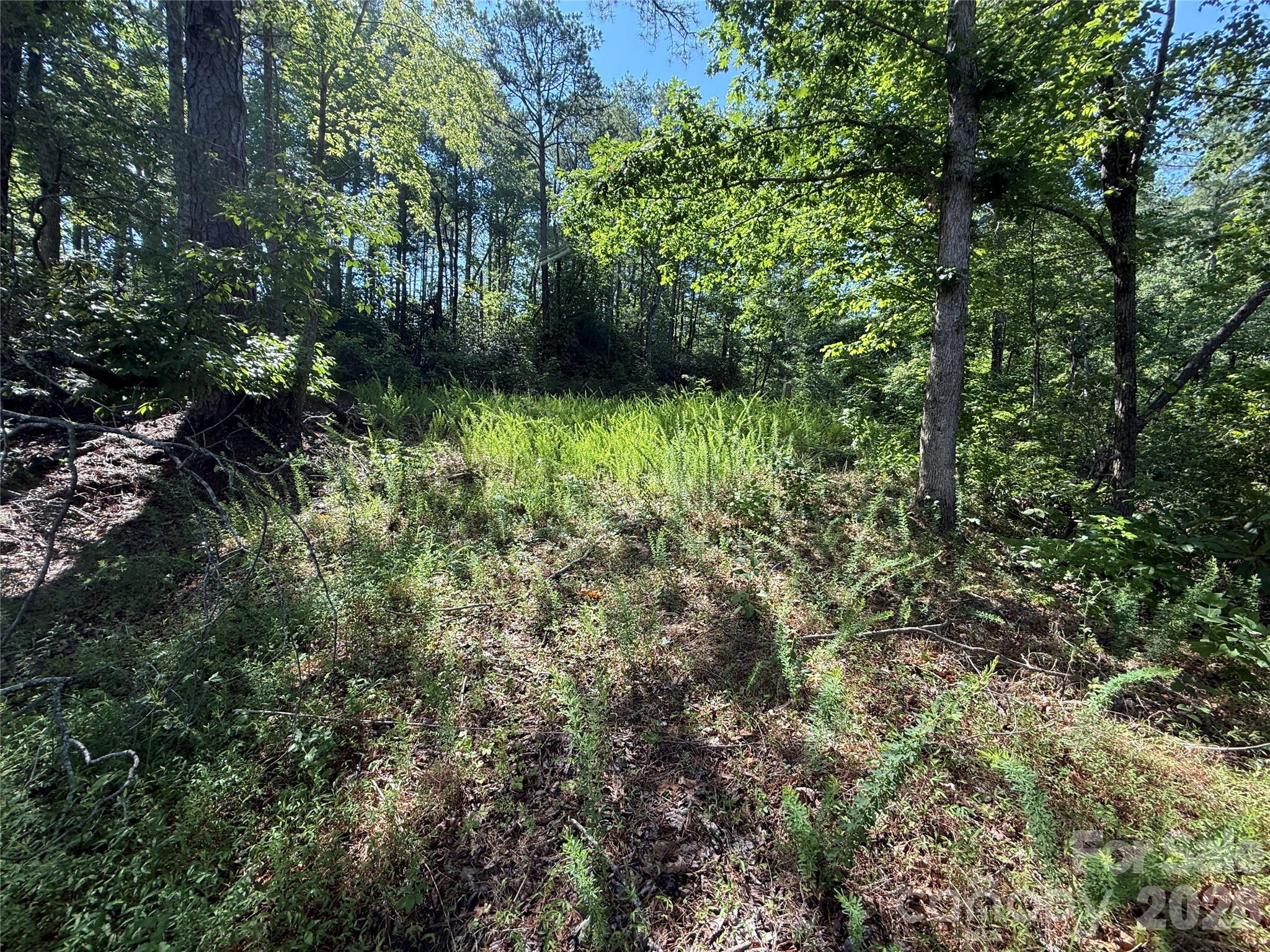 999 Fox Ridge Trail 7 Property Photo 5