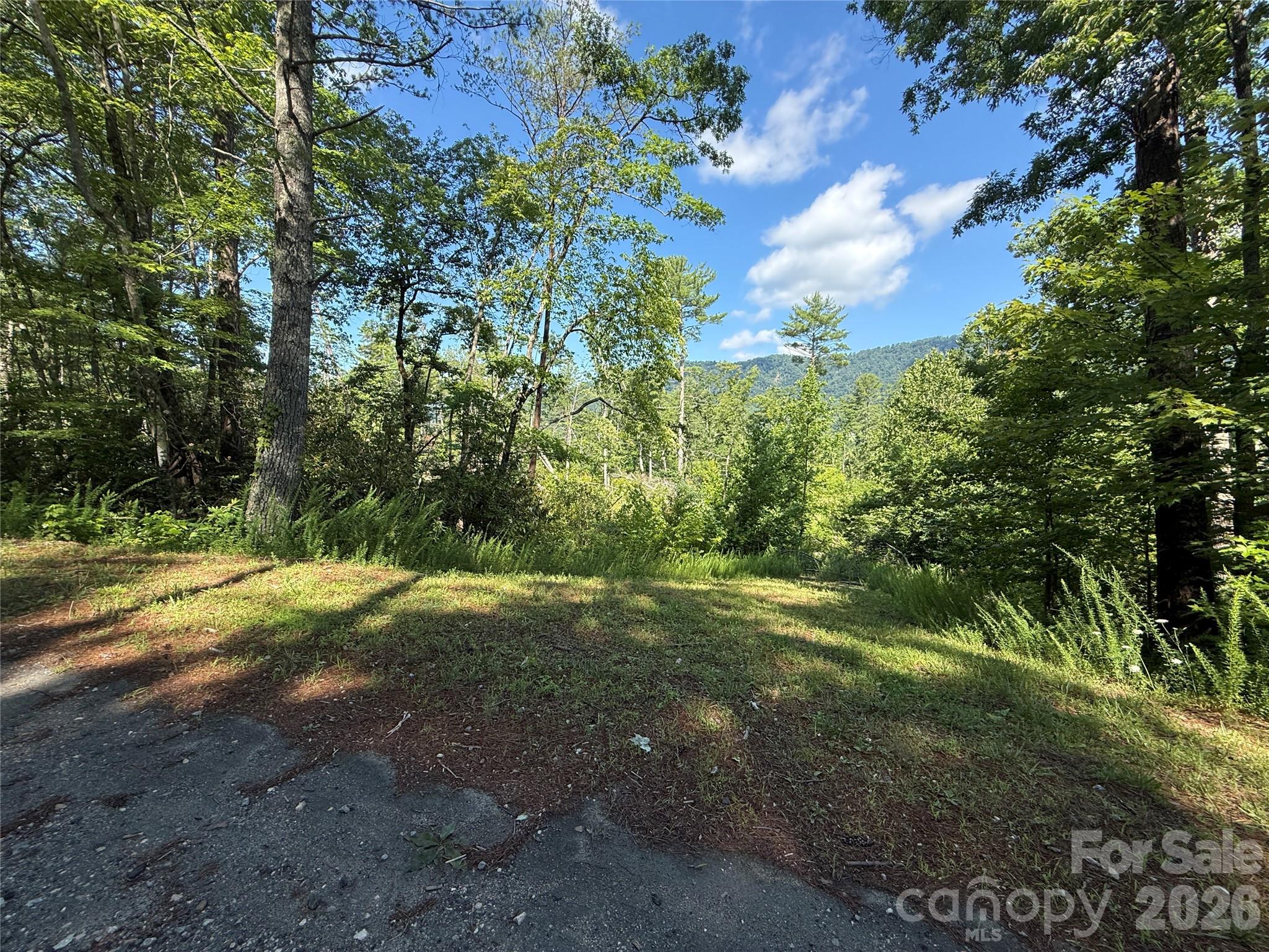 999 Fox Ridge Trail 7 Property Photo 7
