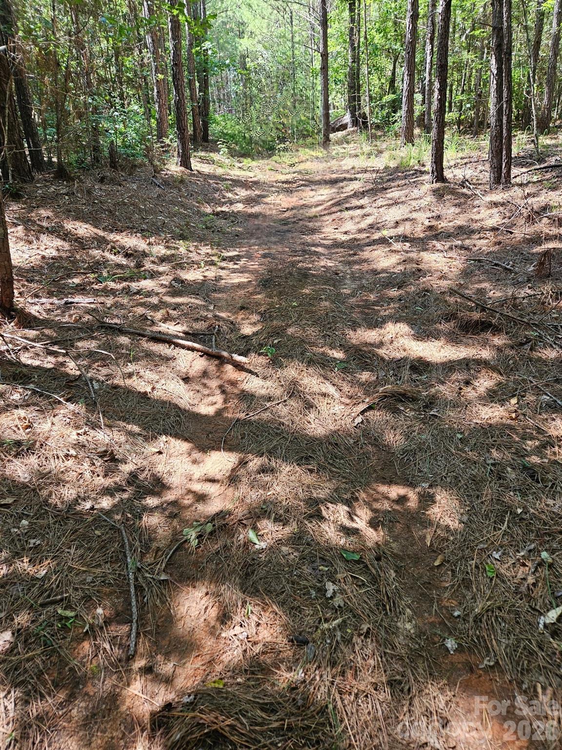 00 Cypress Drive Property Photo 1