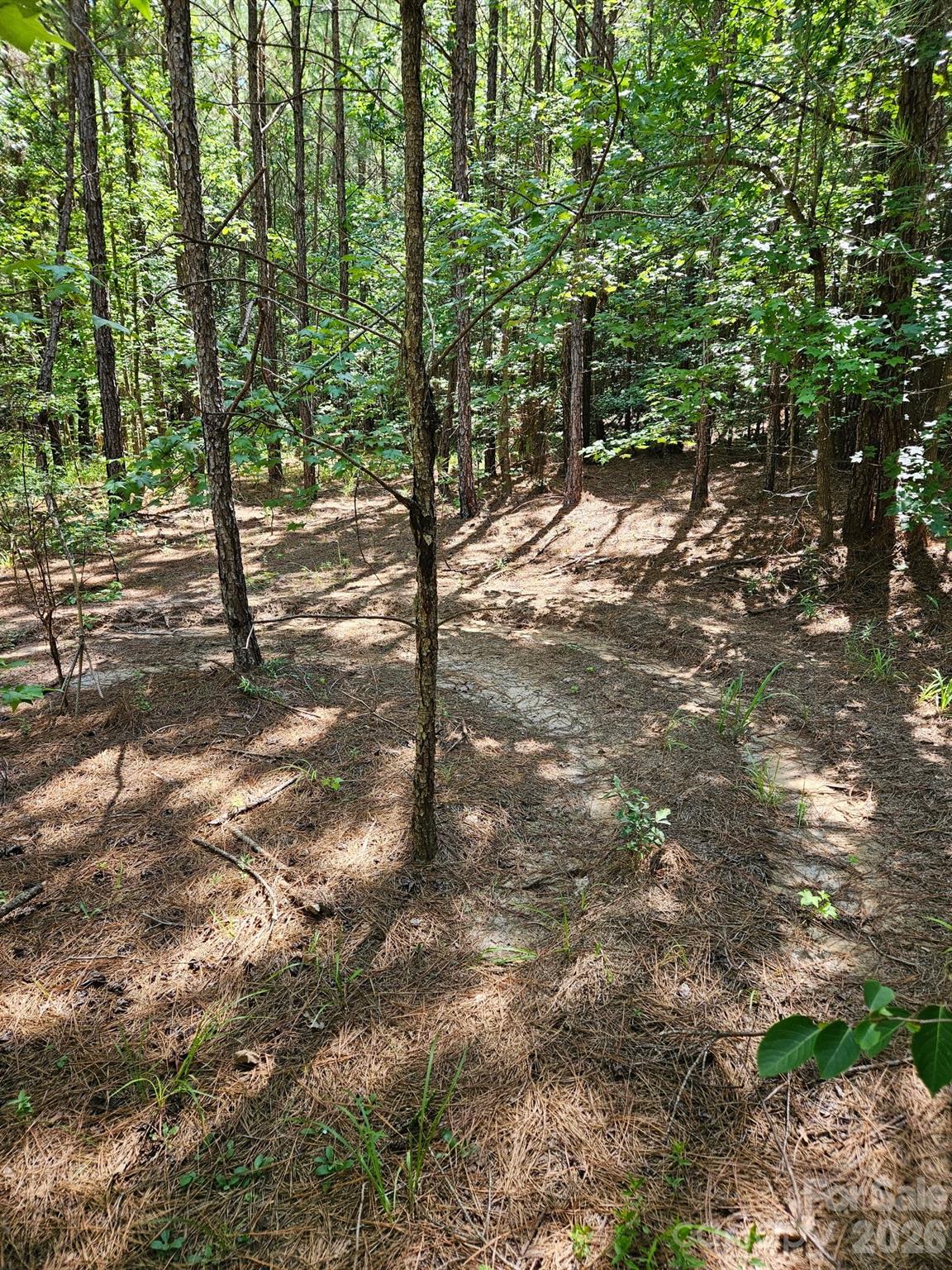 00 Cypress Drive Property Photo 2