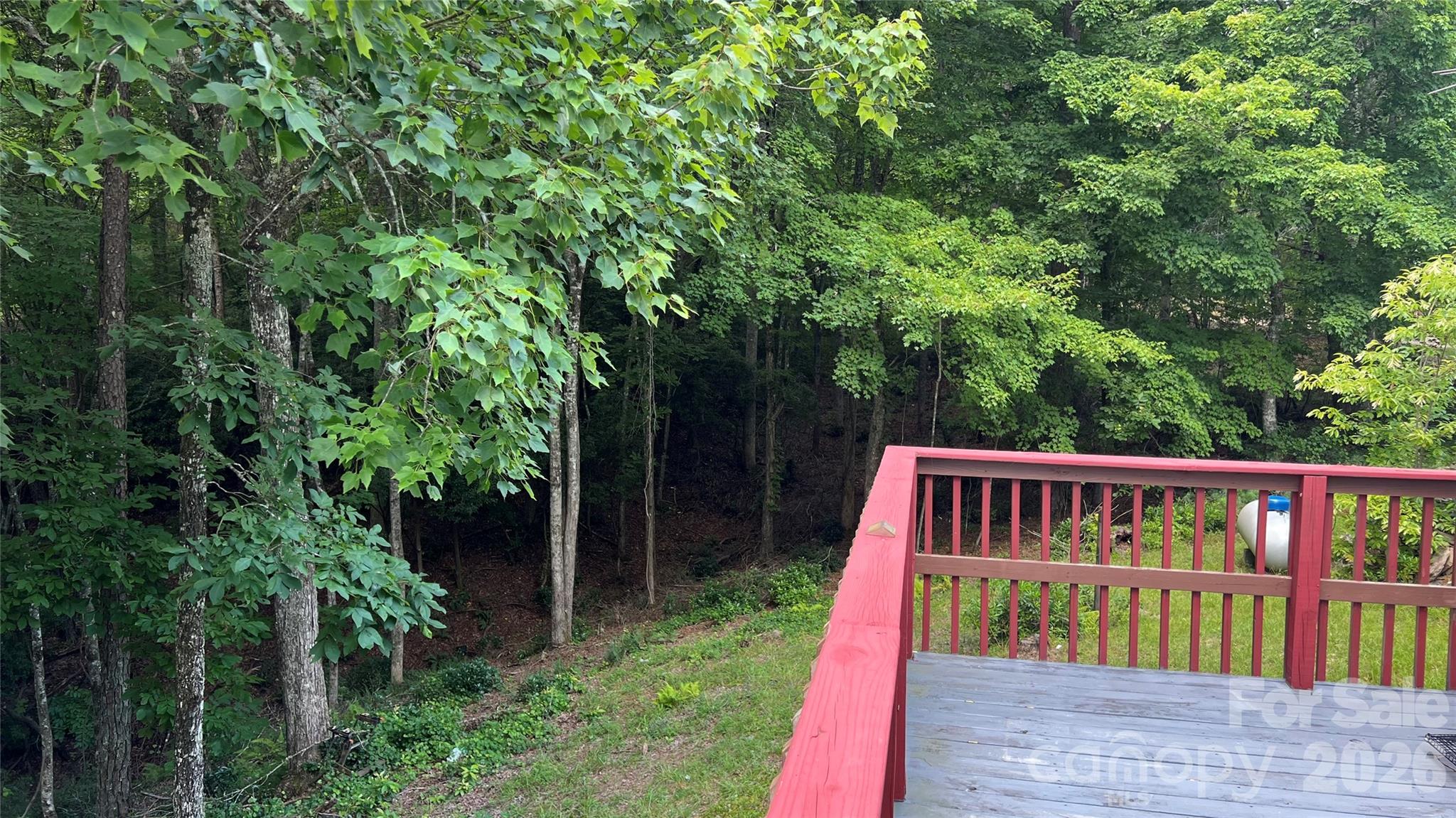 236 Forest Lane Property Photo 11