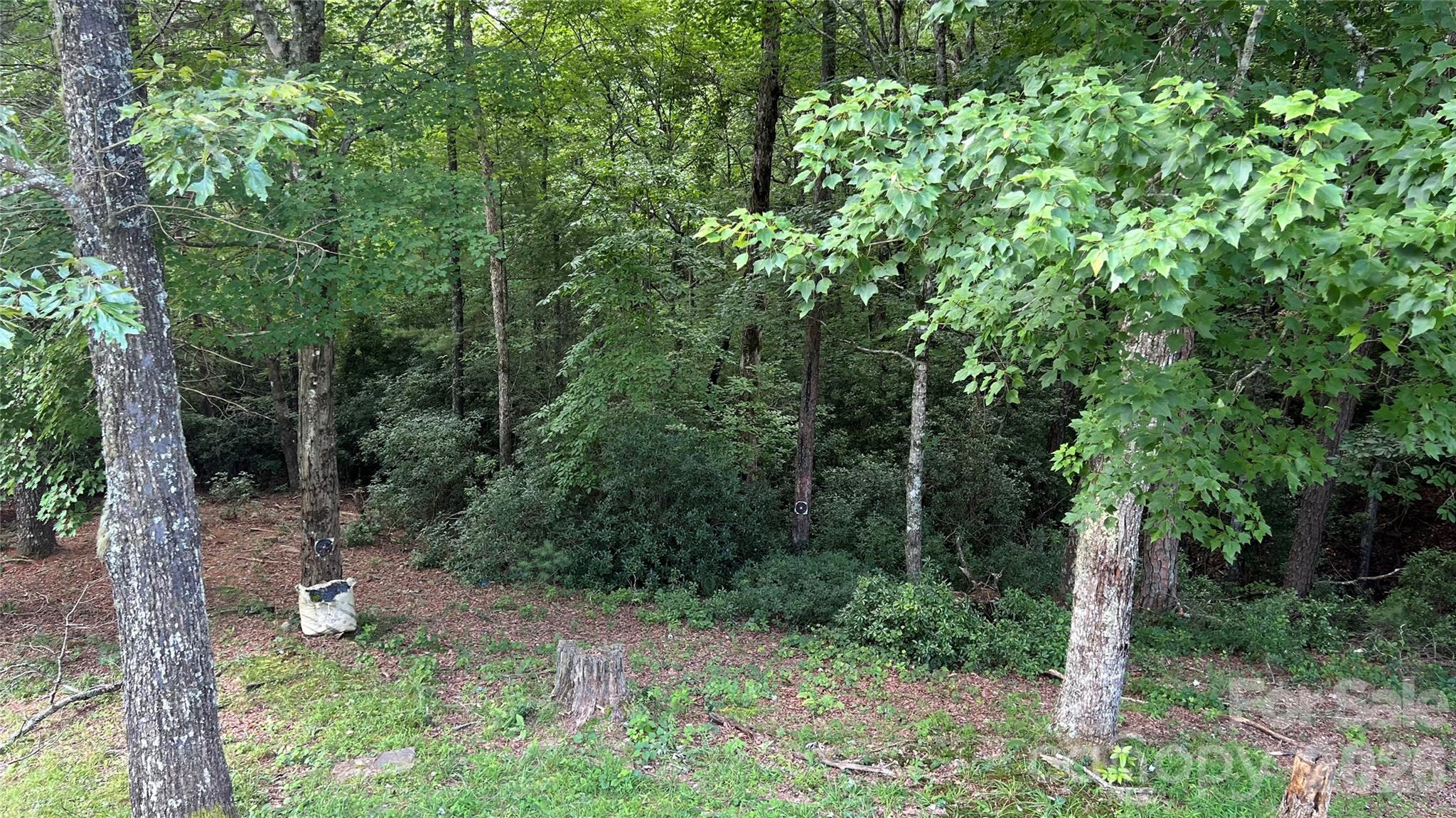 236 Forest Lane Property Photo 13