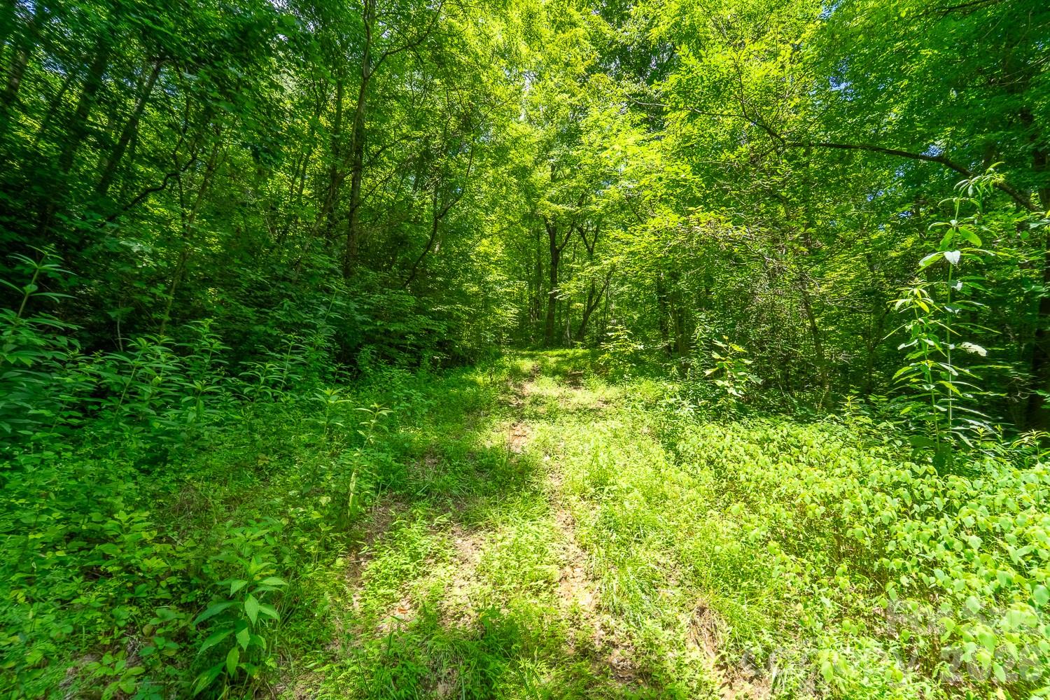 Tbd Indian Flats Drive Property Photo 1