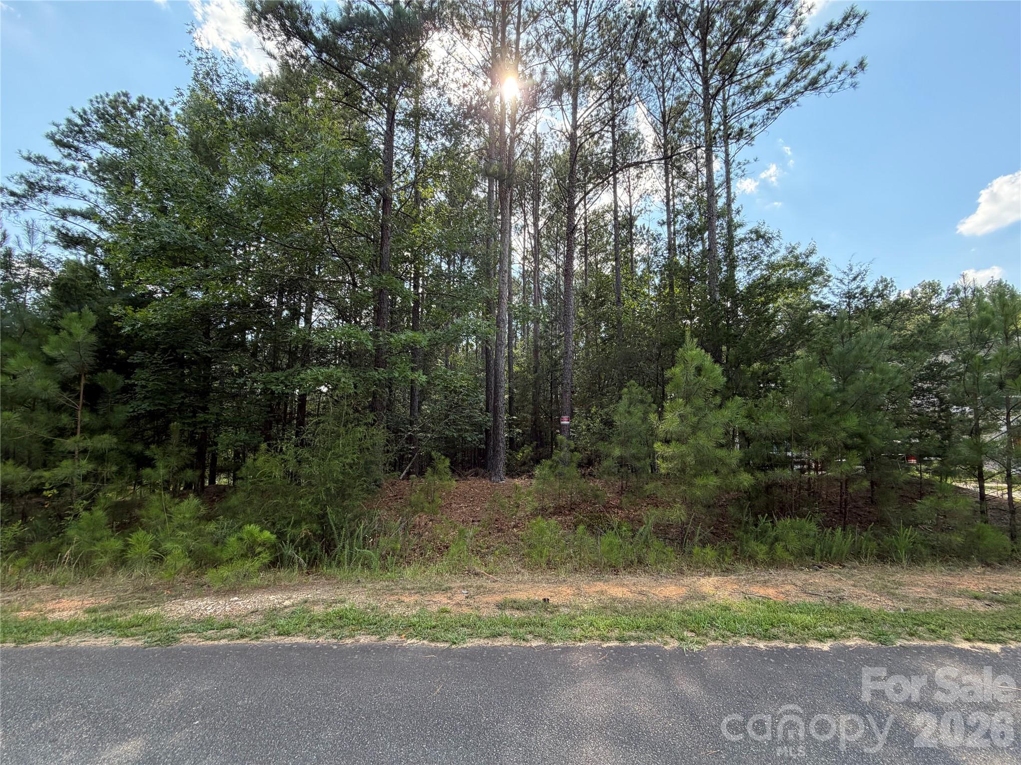 9212 Rustic Creek Trail Property Photo 2