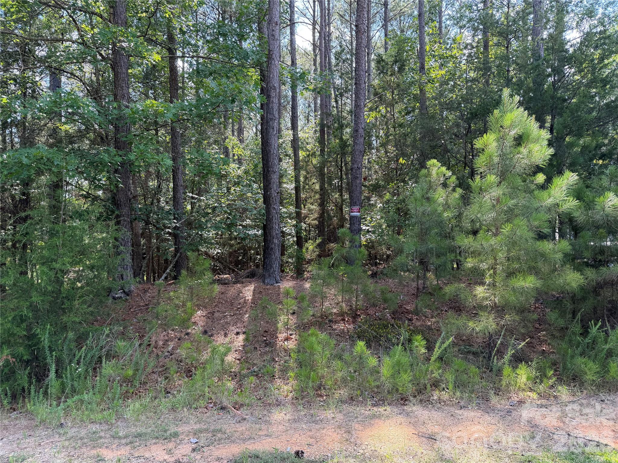 9212 Rustic Creek Trail Property Photo 3
