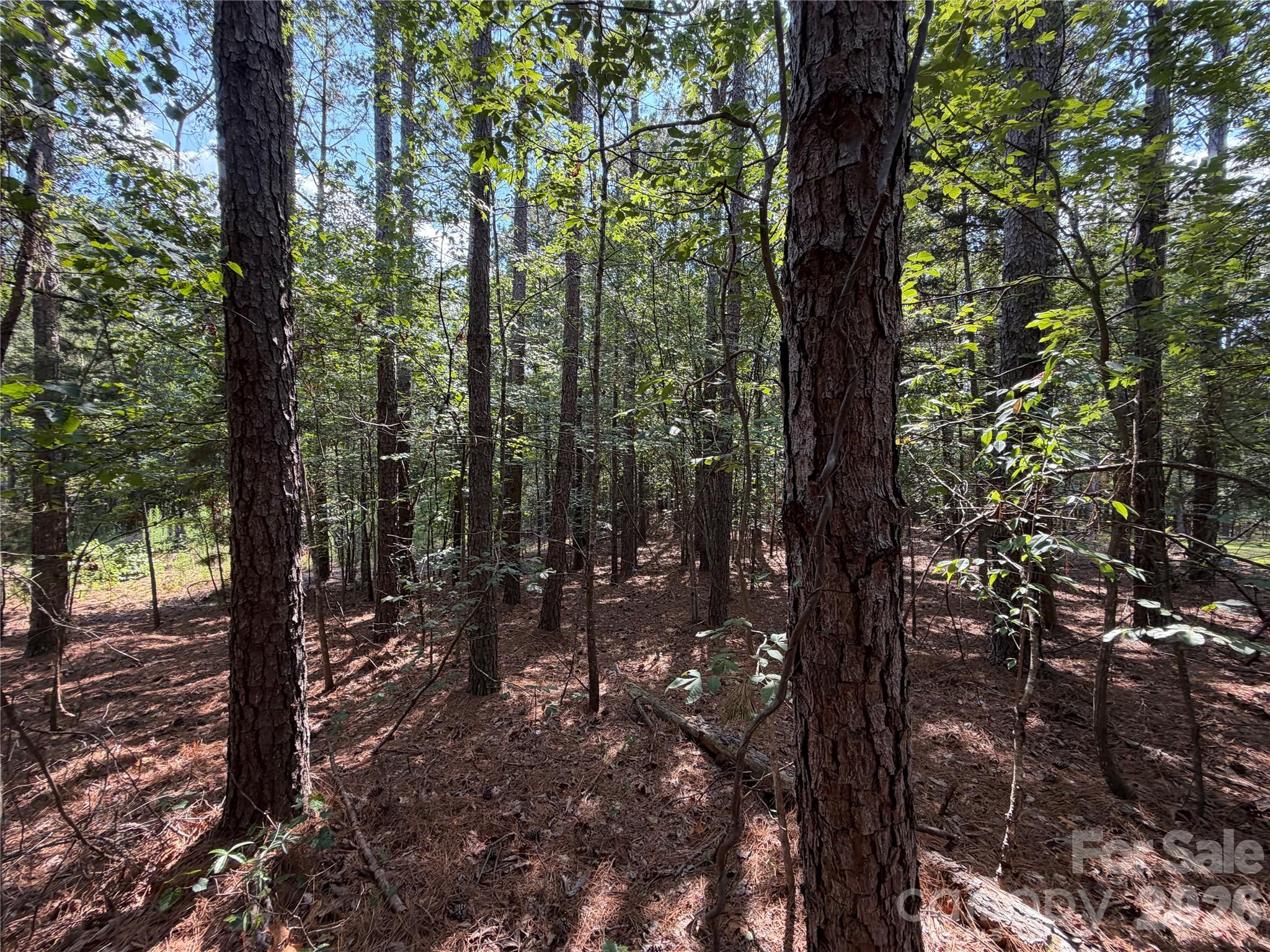 9212 Rustic Creek Trail Property Photo 5