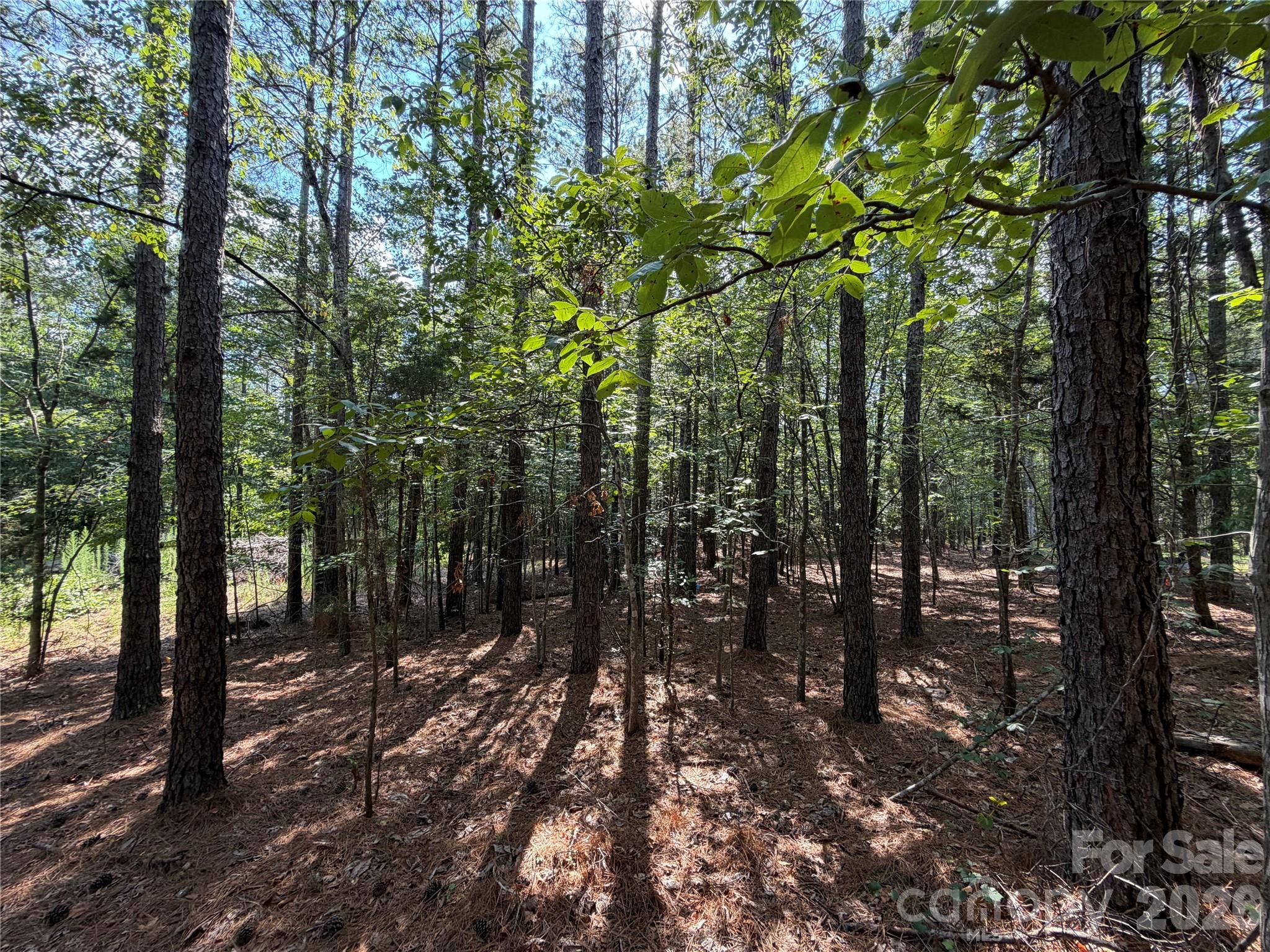 9212 Rustic Creek Trail Property Photo 6