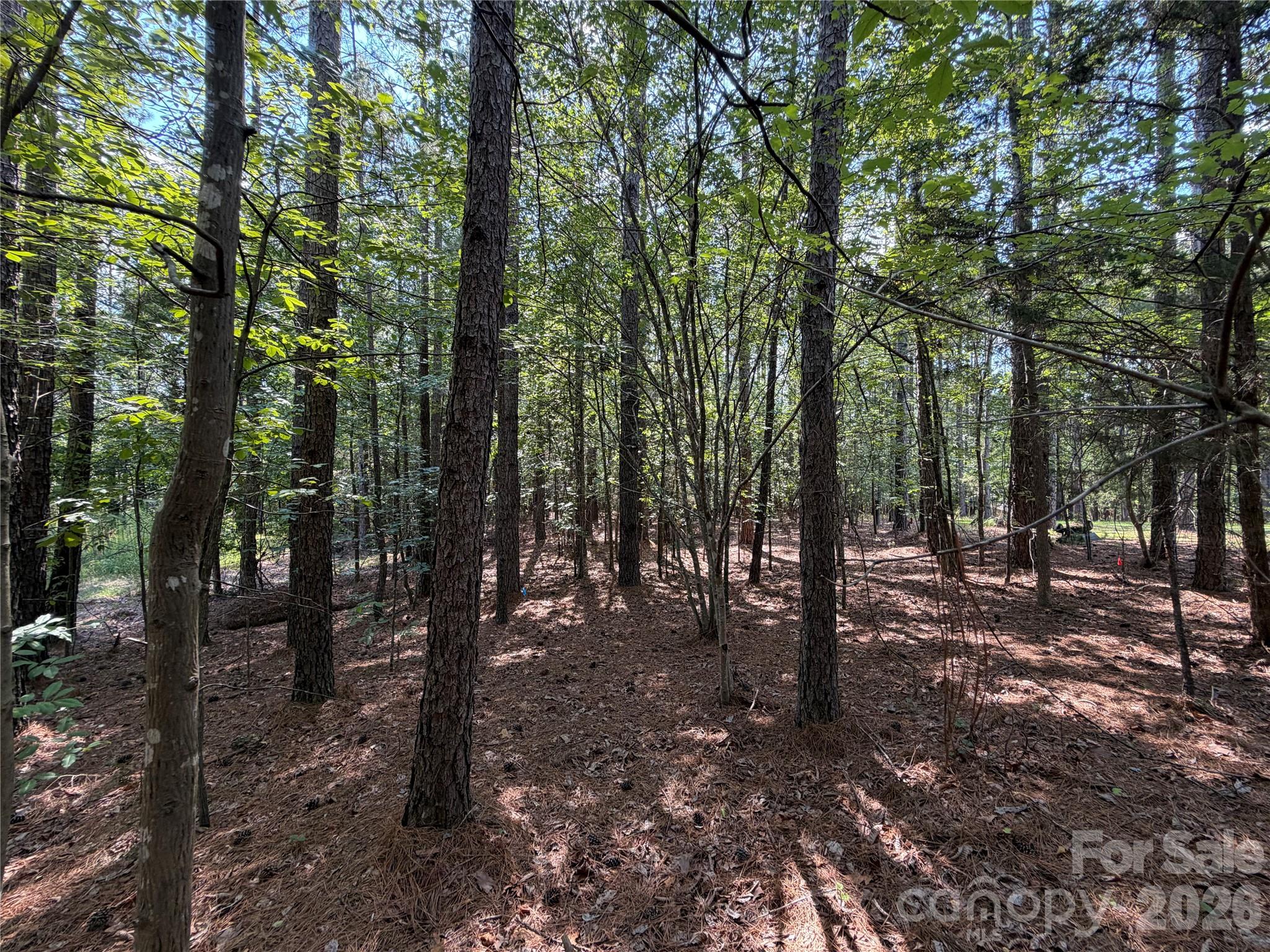 9212 Rustic Creek Trail Property Photo 7