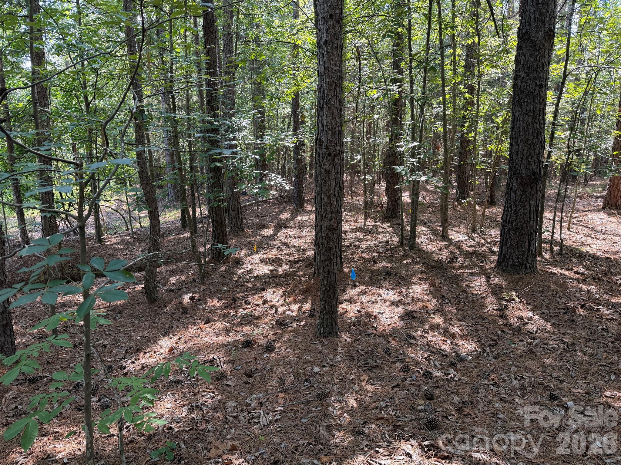 9212 Rustic Creek Trail Property Photo 8