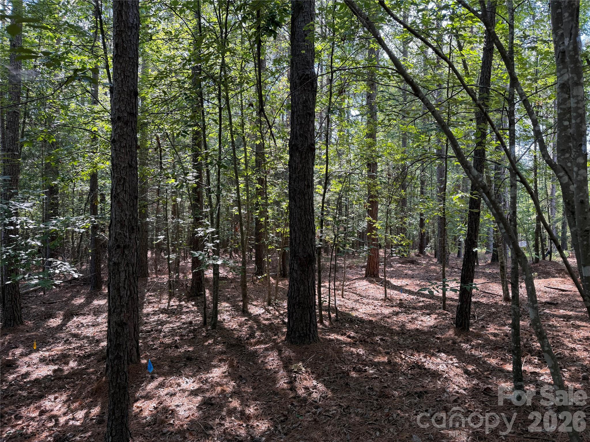 9212 Rustic Creek Trail Property Photo 9