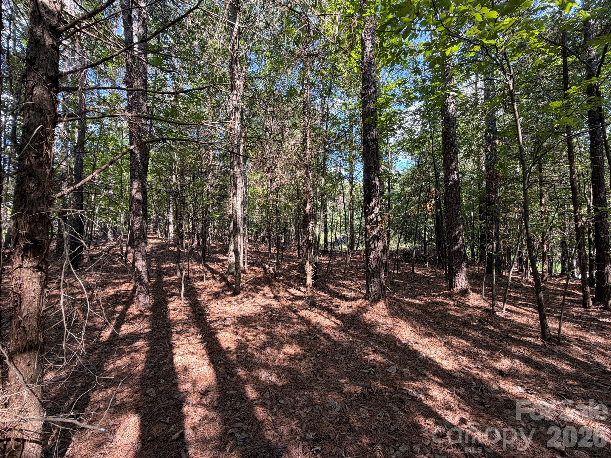 9212 Rustic Creek Trail Property Photo 10