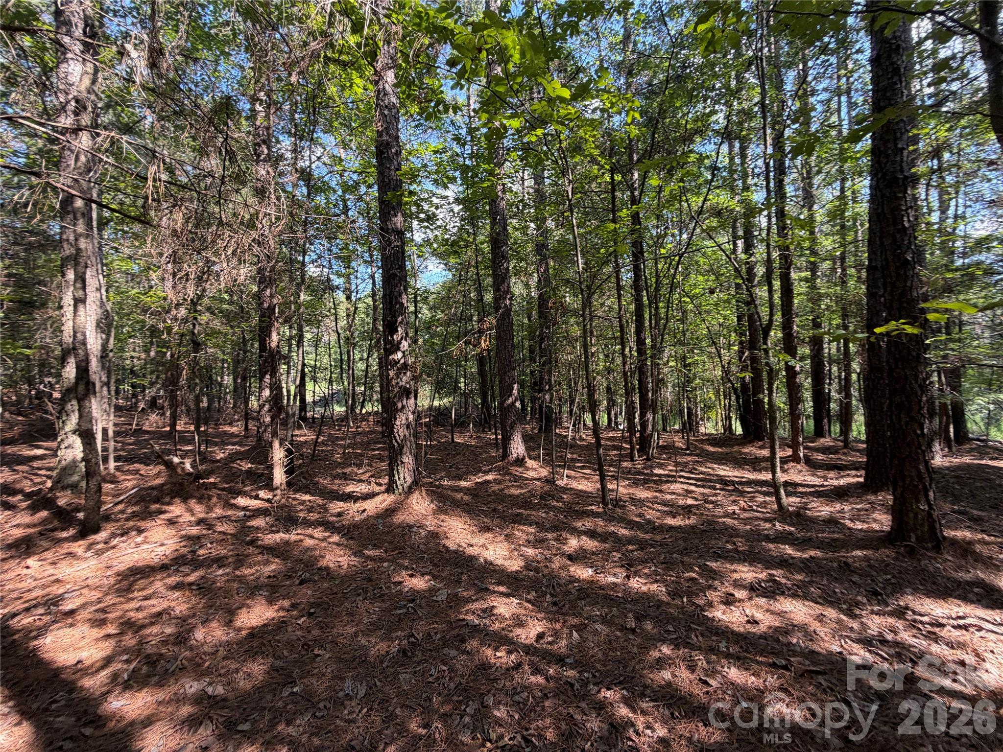 9212 Rustic Creek Trail Property Photo 11