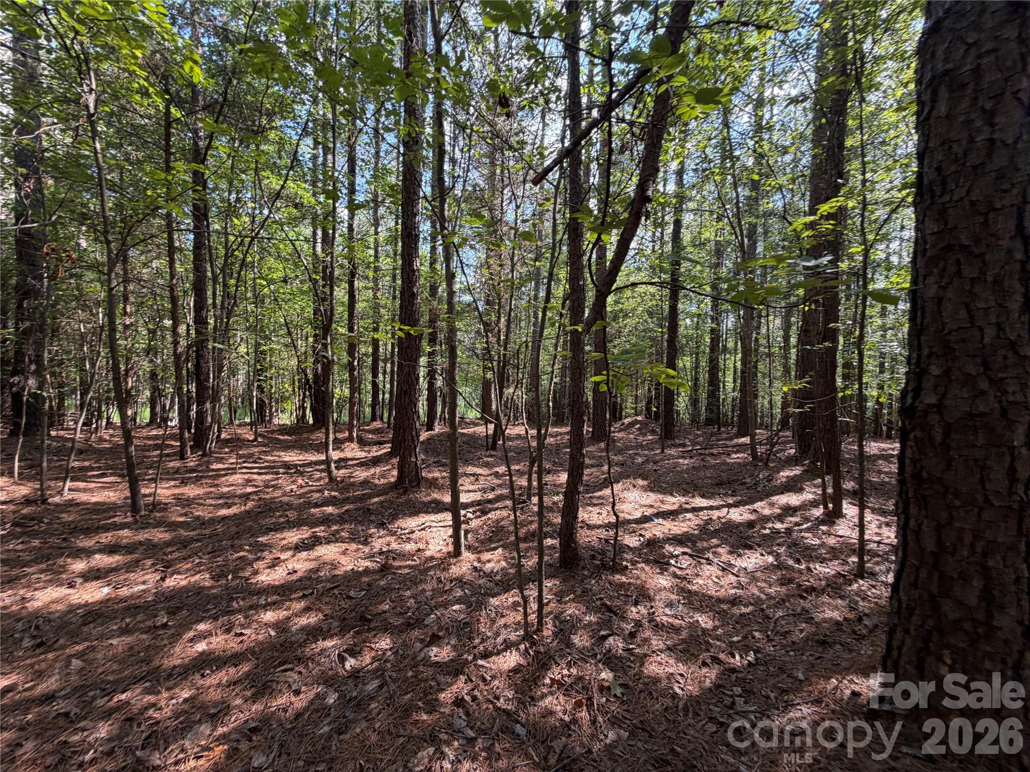 9212 Rustic Creek Trail Property Photo 12