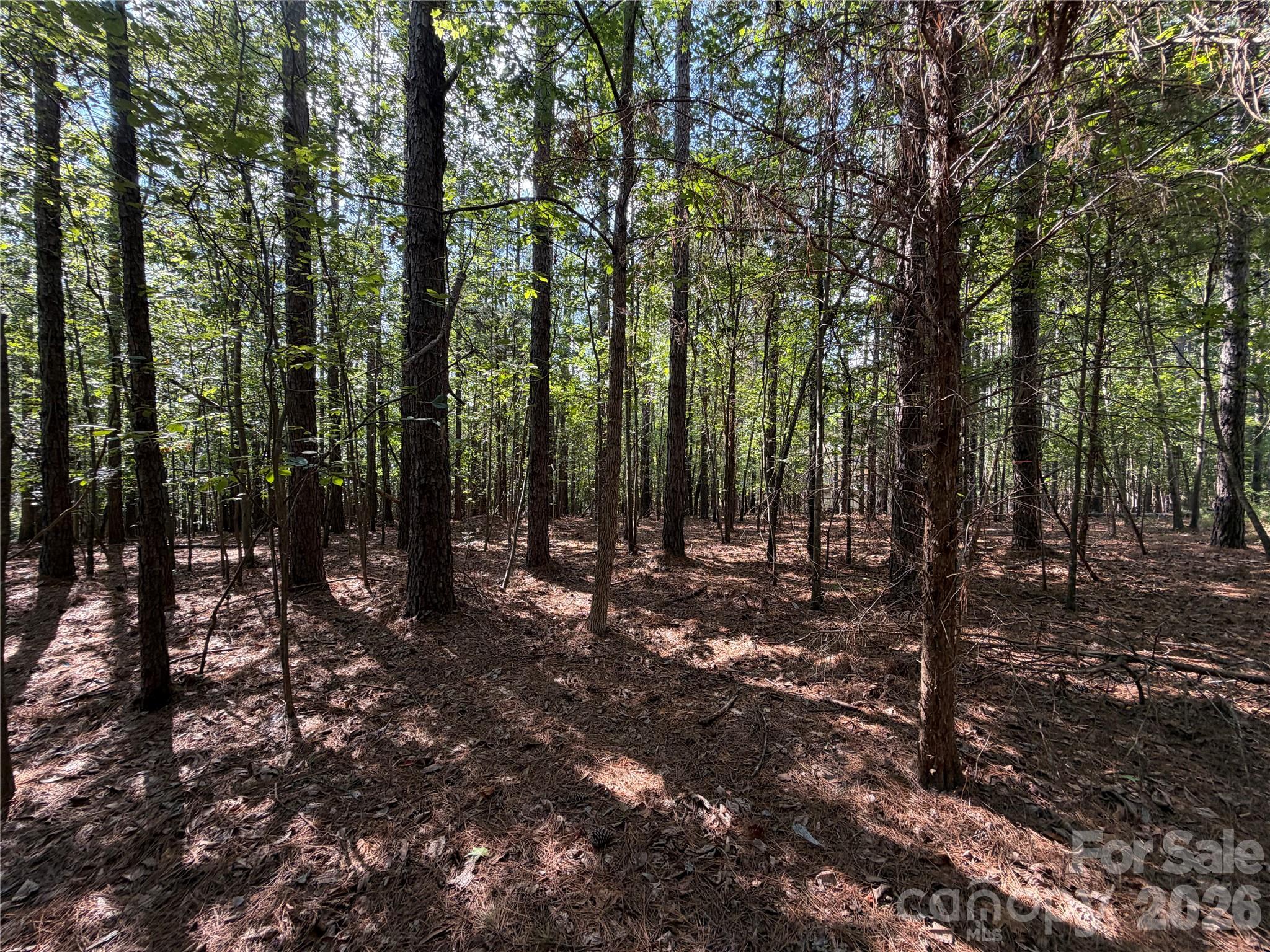 9212 Rustic Creek Trail Property Photo 13