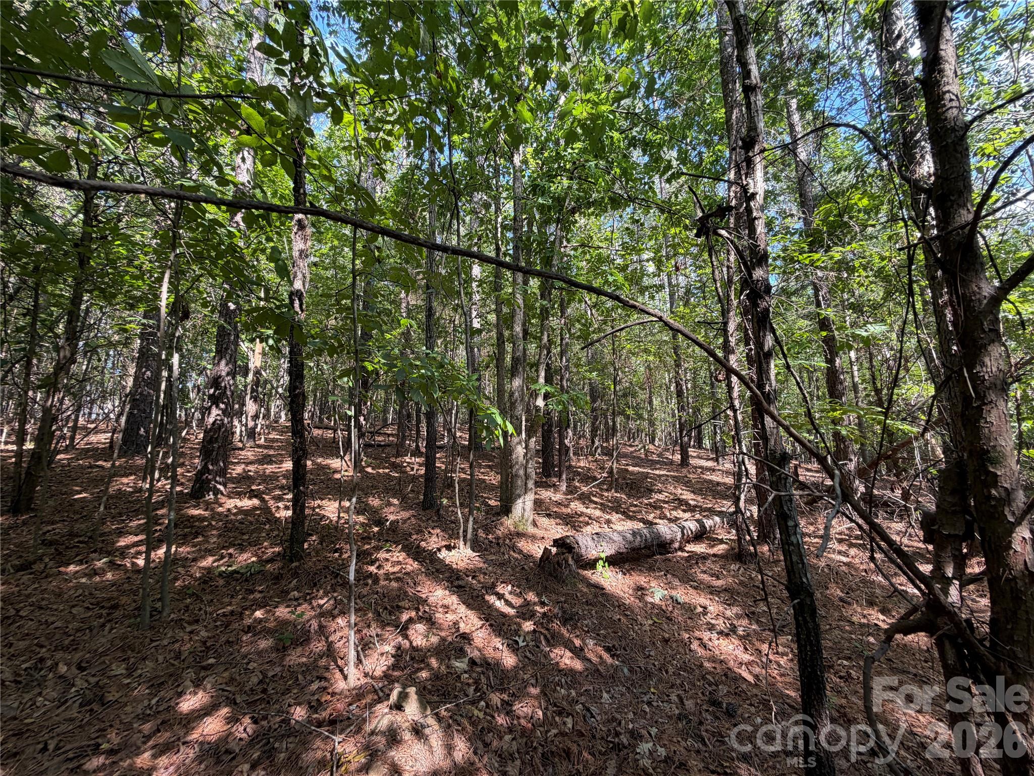 9212 Rustic Creek Trail Property Photo 14