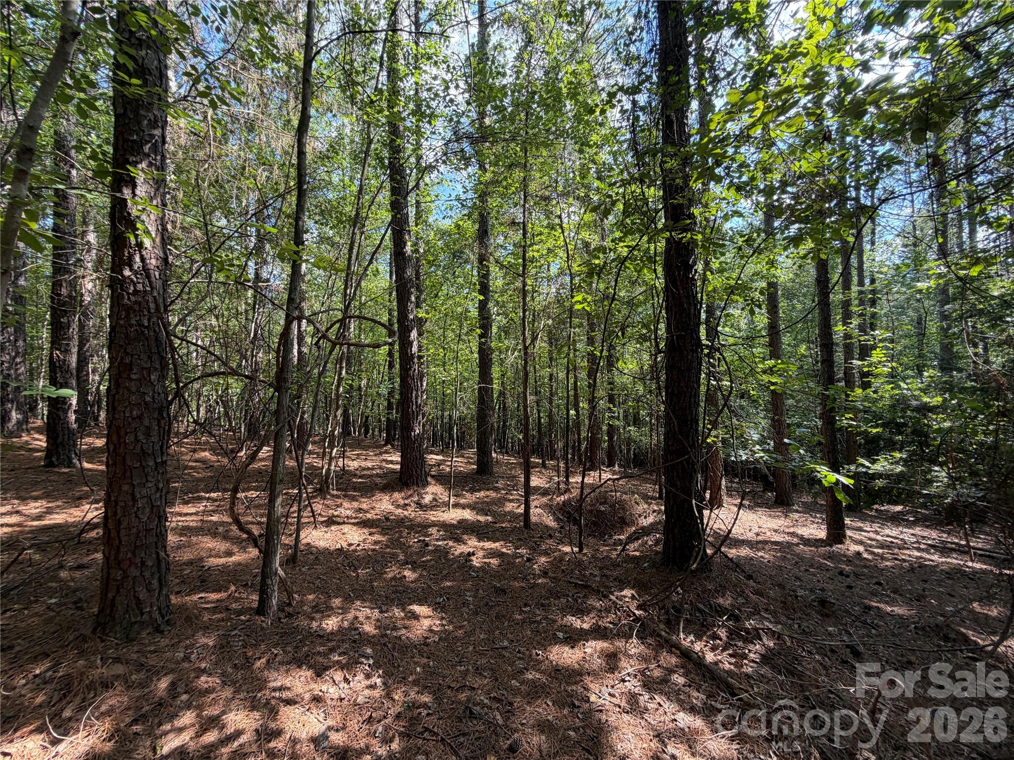 9212 Rustic Creek Trail Property Photo 15