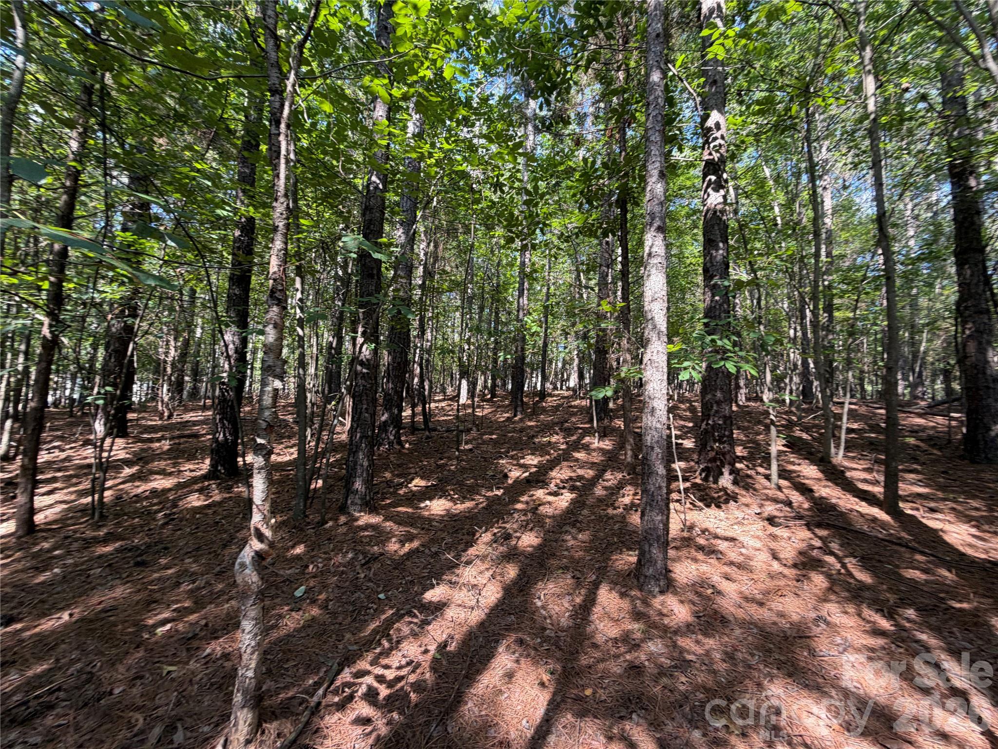 9212 Rustic Creek Trail Property Photo 16