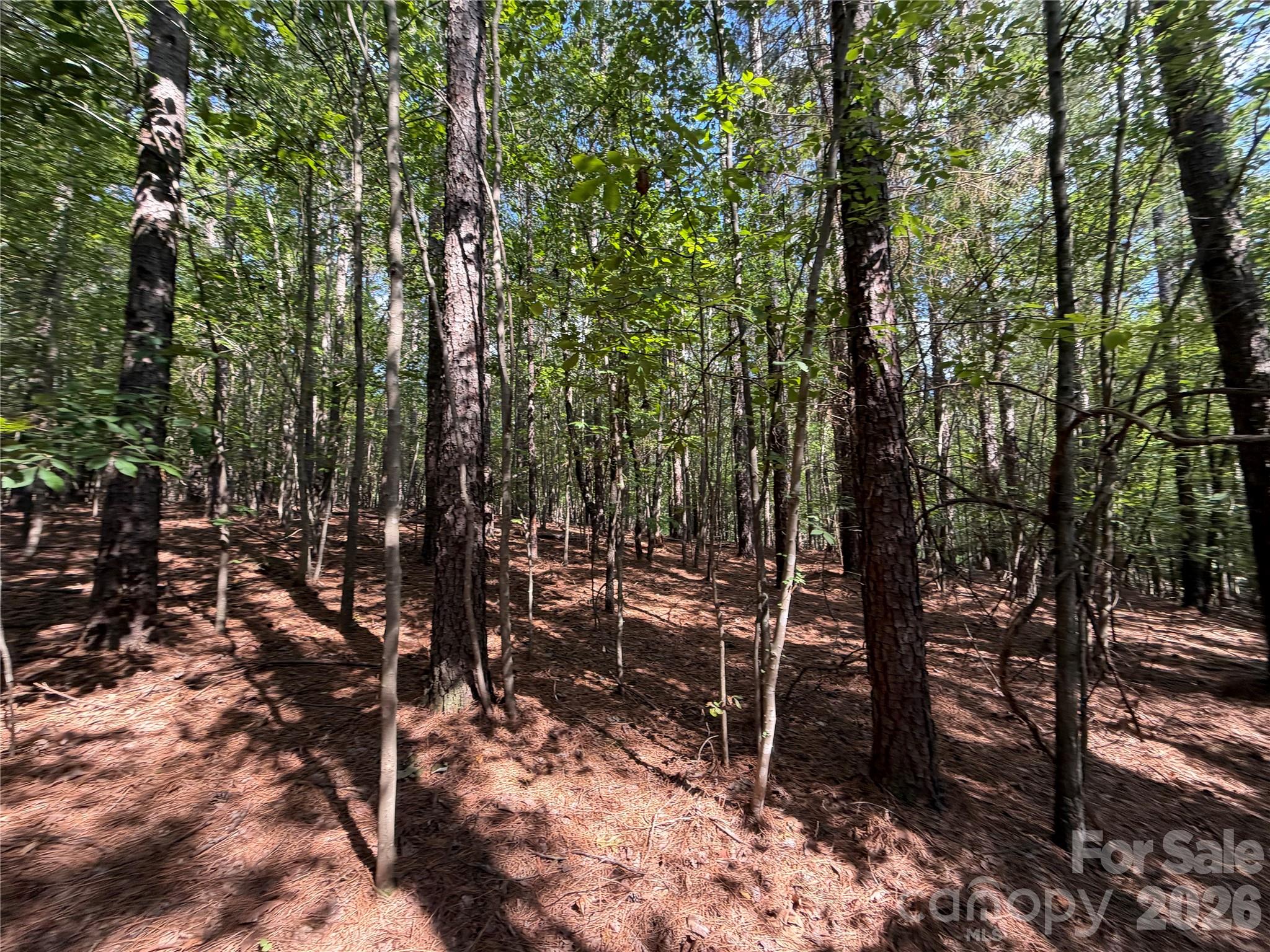 9212 Rustic Creek Trail Property Photo 17