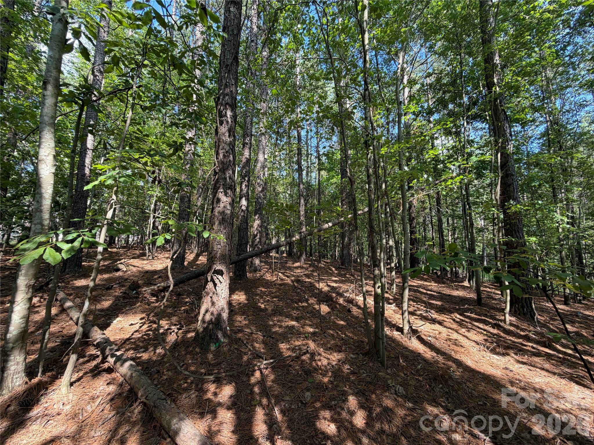 9212 Rustic Creek Trail Property Photo 18