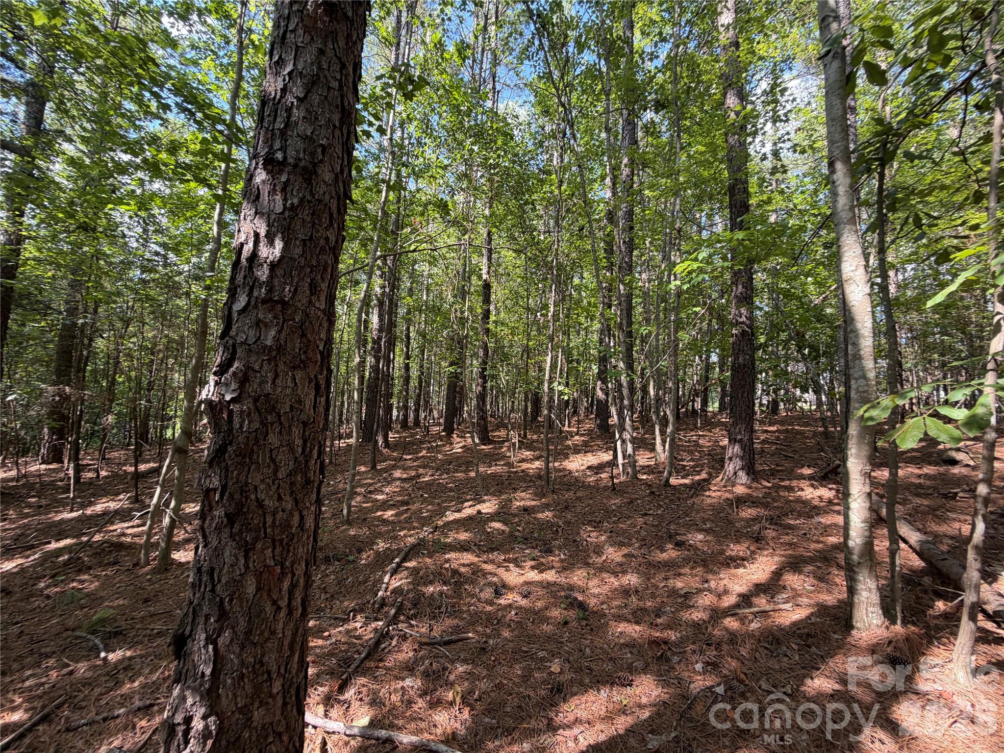 9212 Rustic Creek Trail Property Photo 19